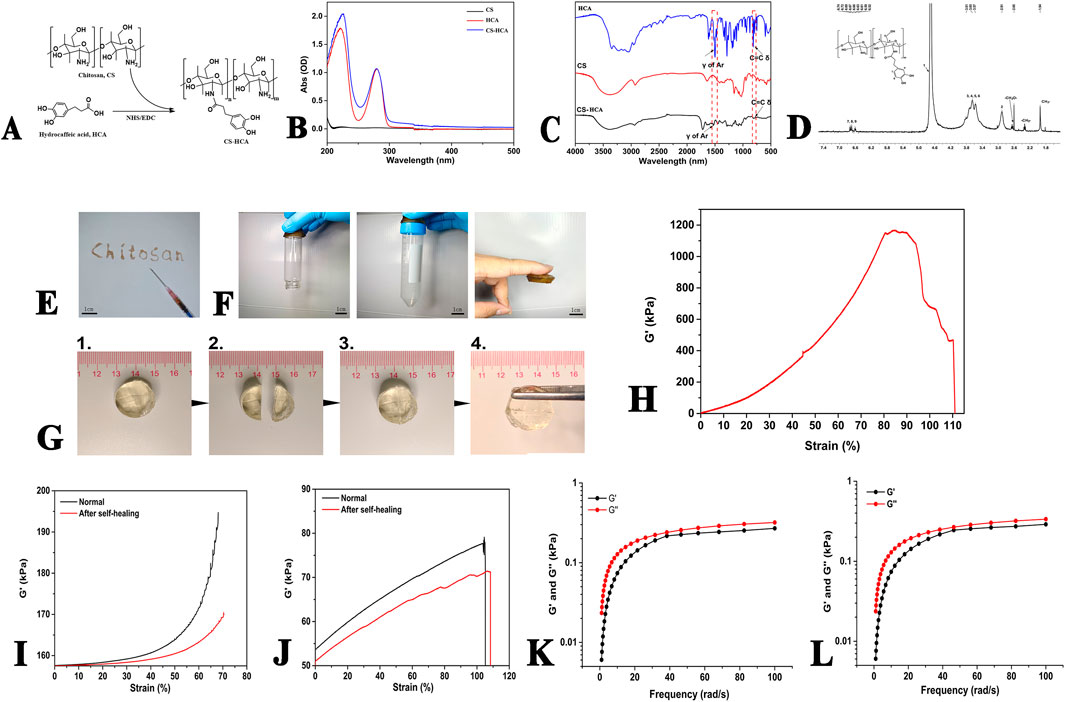 Chemical synthesis and testing images of chitosan and hydroxycinnamic acid (HCA) compounds. Panel A shows the chemical reaction. Panel B displays UV-visible spectroscopy of CS, HCA, and CS-HCA. Panel C presents FTIR spectra. Panel D features an NMR spectrum. Panel E exhibits a chitosan sample. Panel F demonstrates liquid reactions in test tubes. Panel G illustrates a self-healing test on a material. Panel H shows a strain-stress graph. Panels I and J compare mechanical properties before and after self-healing. Panels K and L feature frequency sweep graphs of storage (G') and loss moduli (G'').