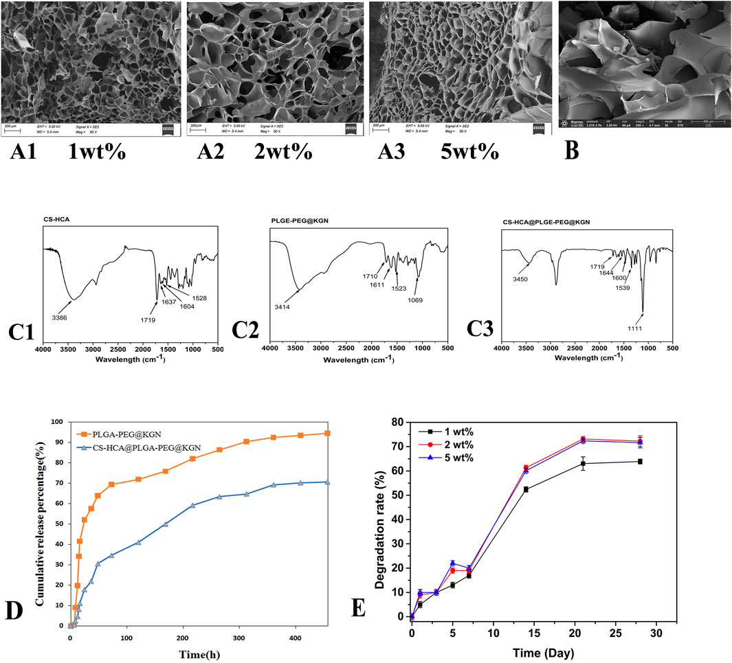 Electron microscopy images (A1, A2, A3) show porous structures at varying concentrations (1wt%, 2wt%, 5wt%). Image B shows a close-up of a sample surface. Graphs C1, C2, C3 display FTIR spectra for different materials. Graph D illustrates cumulative release percentages of substances over time. Graph E shows degradation rates (%) over time for the samples.