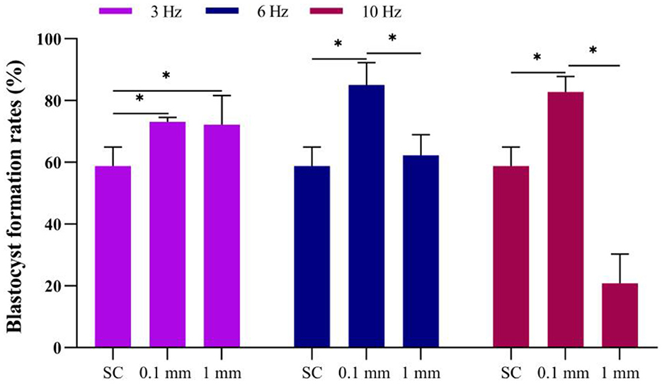 Bar chart depicting blastocyst formation rates at frequencies of 3 Hz, 6 Hz, and 10 Hz across conditions labeled SC, 0.1 mm, and 1 mm. The chart uses different colors for each frequency: pink for 3 Hz, blue for 6 Hz, and red for 10 Hz. Error bars indicate variability, and asterisks denote statistically significant differences.