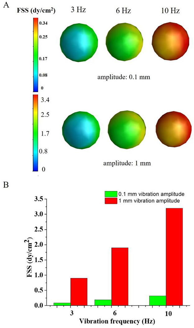 Figure A shows color-coded representations of fluid shear stress (FSS) at different frequencies (3 Hz, 6 Hz, 10 Hz) and amplitudes (0.1 mm and 1 mm). The color gradient ranges from blue (low FSS) to red (high FSS). Figure B is a bar graph comparing FSS at the same frequencies for both amplitudes, with red bars representing 1 mm and green bars 0.1 mm, showing increased stress with higher frequencies and amplitudes.