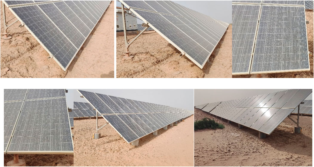 Sample images from the collected dataset.