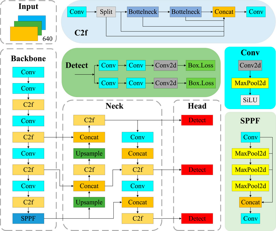 Flowchart of a neural network architecture. It includes sections: Input, Backbone, Detect, Neck, Head, Conv, and SPPF. Each section contains layers like Conv, C2f, Concat, Bottleneck, Upsample, MaxPool2d, and SiLU, detailing connections and flow of operations. The Detect section highlights box loss functions.