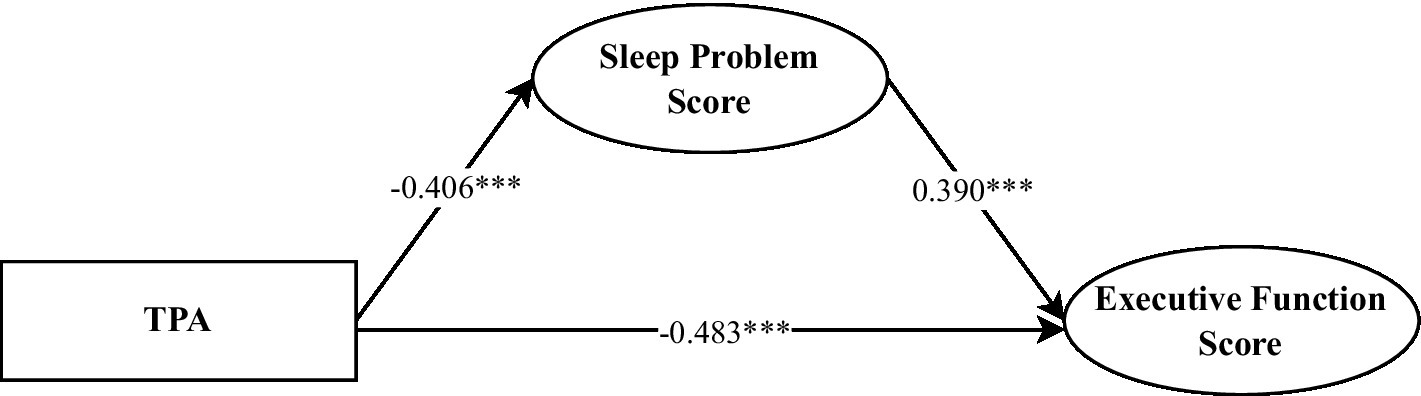 Diagram showing relationships between TPA, Sleep Problem Score, and Executive Function Score. TPA negatively impacts Sleep Problem Score (-0.406) and Executive Function Score (-0.483). Sleep Problem Score positively affects Executive Function Score (0.390). Asterisks indicate significance.