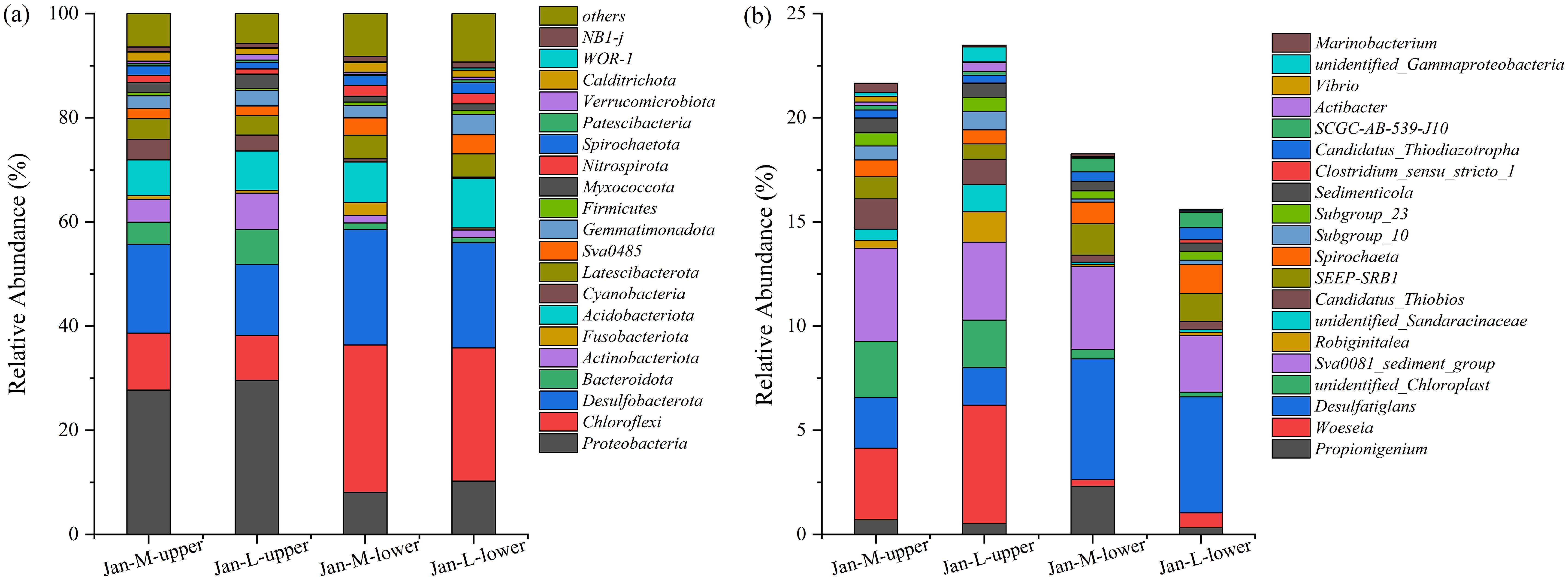 Two bar charts display relative abundances of microbial taxa. Chart (a) shows a wide range of bacterial groups, with Proteobacteria and Chloroflexi being predominant. Chart (b) focuses on more specific groups, including Marinobacterium and Vibrio, with less variance between the samples. Each bar represents different samples labeled as Jan-M-upper, Jan-L-upper, Jan-M-lower, and Jan-L-lower, showing varying compositions across the samples. Different colors indicate distinct microbial groups, detailed in the accompanying legend.