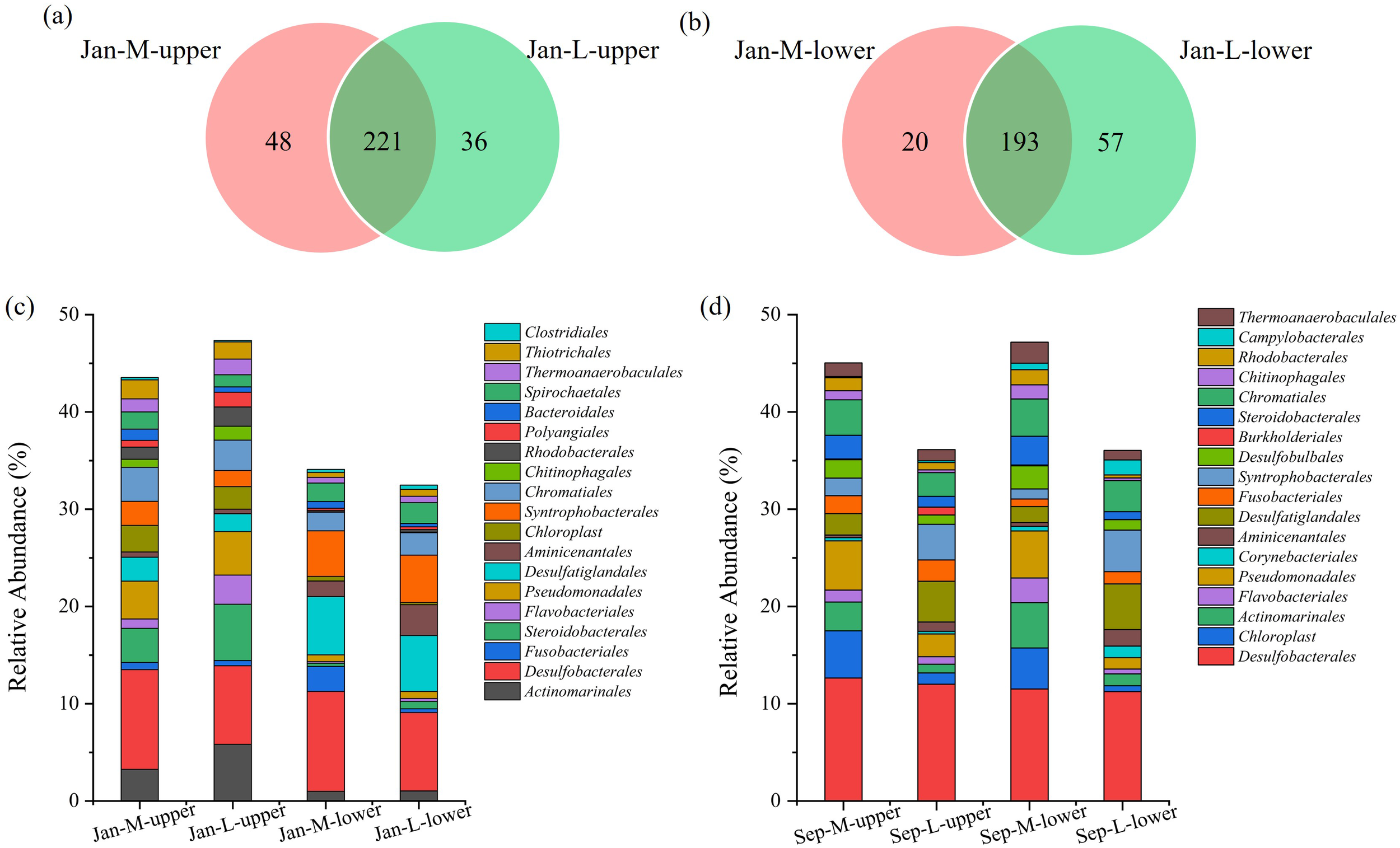 (a) Venn diagram showing overlap between Jan-M-upper and Jan-L-upper with 48 and 36 unique elements respectively, and 221 shared. (b) Venn diagram for Jan-M-lower and Jan-L-lower with 20 and 57 unique elements respectively, and 193 shared. (c) Stacked bar chart illustrating relative abundance percentages of various bacterial orders for January samples. (d) Stacked bar chart showing relative abundance for September samples. Legends are provided to identify the bacterial orders.