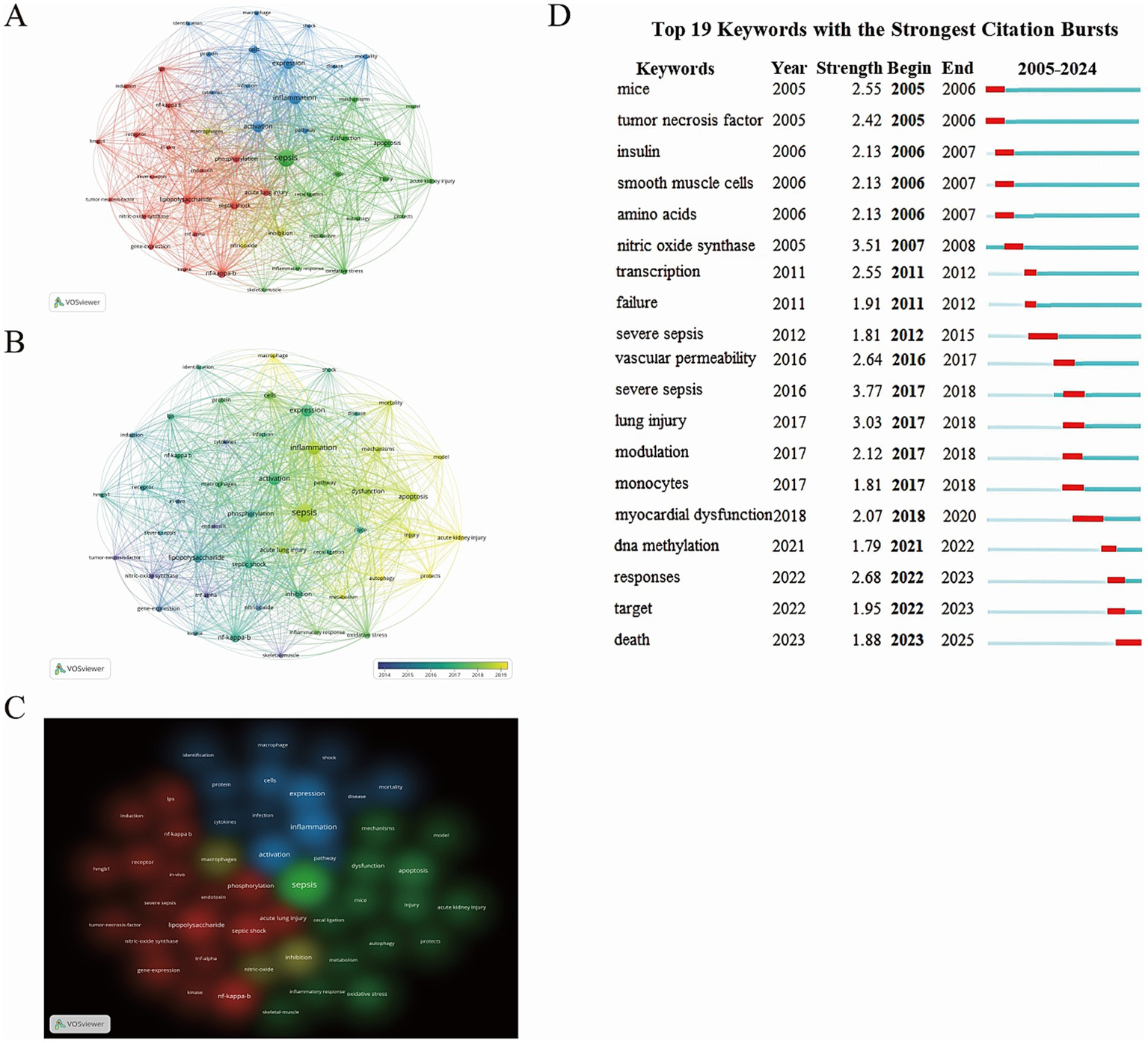 Network visualizations and keyword analysis are shown. Panel A: A co-authorship network of keywords with nodes colored by topic. Panel B: A timeline visualization of the same network, colored by year. Panel C: A density visualization highlighting keyword clusters. Panel D: A table listing the top 19 keywords with the strongest citation bursts from 2005 to 2024, showing their strength and duration in a bar graph.