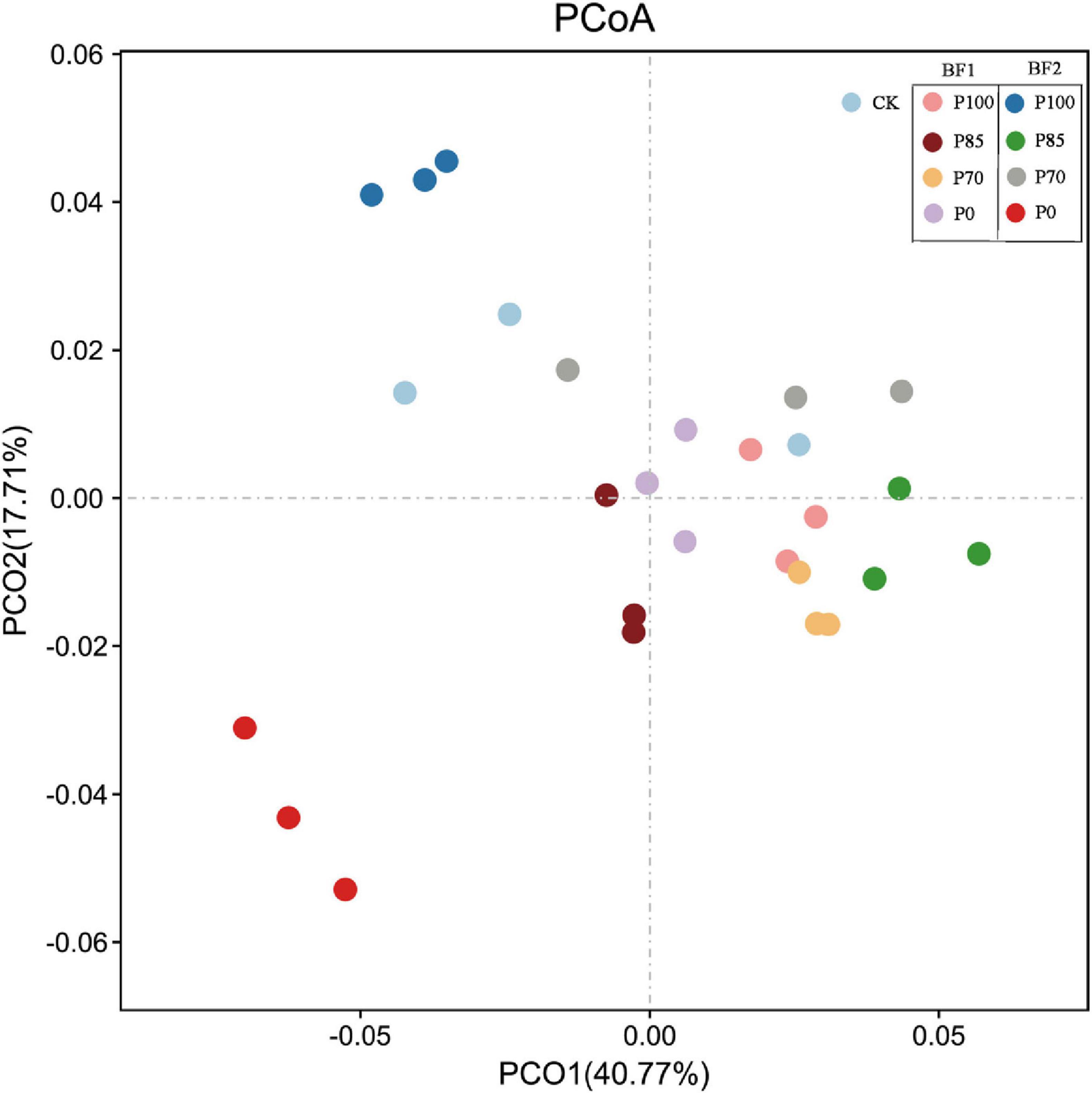 Principal coordinates analysis (PCoA) plot showing data points colored by groups CK, BF1, and BF2. The axes represent PCO1 accounting for 40.77% and PCO2 accounting for 17.71% of the variability. Various group labels, including P100, P85, P70, and P0, are denoted with distinct colors.