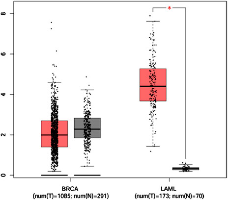 Box plot comparing gene expression levels for BRCA and LAML. BRCA shows two groups with similar distributions; LAML shows a significant difference with higher expression in tumors indicated by a red asterisk. Data points are scattered around the boxes.