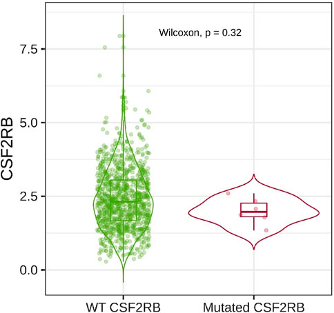 Violin plot comparing CSF2RB expression between wild-type and mutated groups. The wild-type group is shown in green and the mutated group in red. Each plot includes individual data points, a box plot with median and quartiles, and distribution shape. The Wilcoxon test p-value is 0.32.