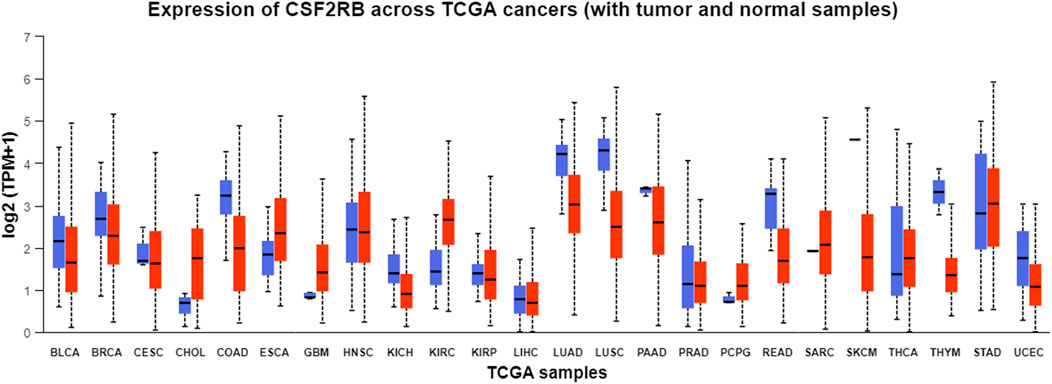 Box plot chart showing the expression levels of CSF2RB across various TCGA cancer samples, comparing tumor (red boxes) and normal (blue boxes) samples. Expression levels are measured as log2(TPM+1). Each box represents a different cancer type, with a range of expression values indicated by vertical lines and medians marked by horizontal lines within the boxes.