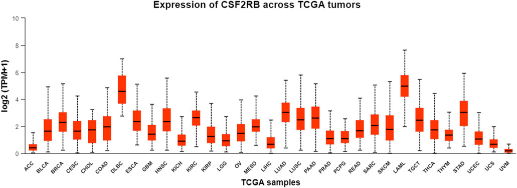 Box plot showing the expression of CSF2RB across various TCGA tumor samples. The horizontal axis names the tumor types, and the vertical axis indicates expression levels in log2 (TPM+1). Each box represents the distribution of expression for each tumor type, with variations in median and range.
