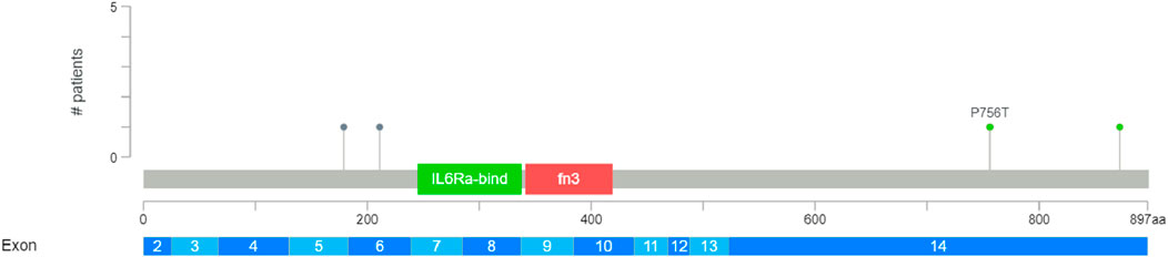 Diagram showing patient distribution along a protein sequence with exons numbered two to fourteen. Protein domains include IL6Ra-bind in green and fn3 in red. Variants are marked, including one labeled P756T. Y-axis indicates the number of patients.