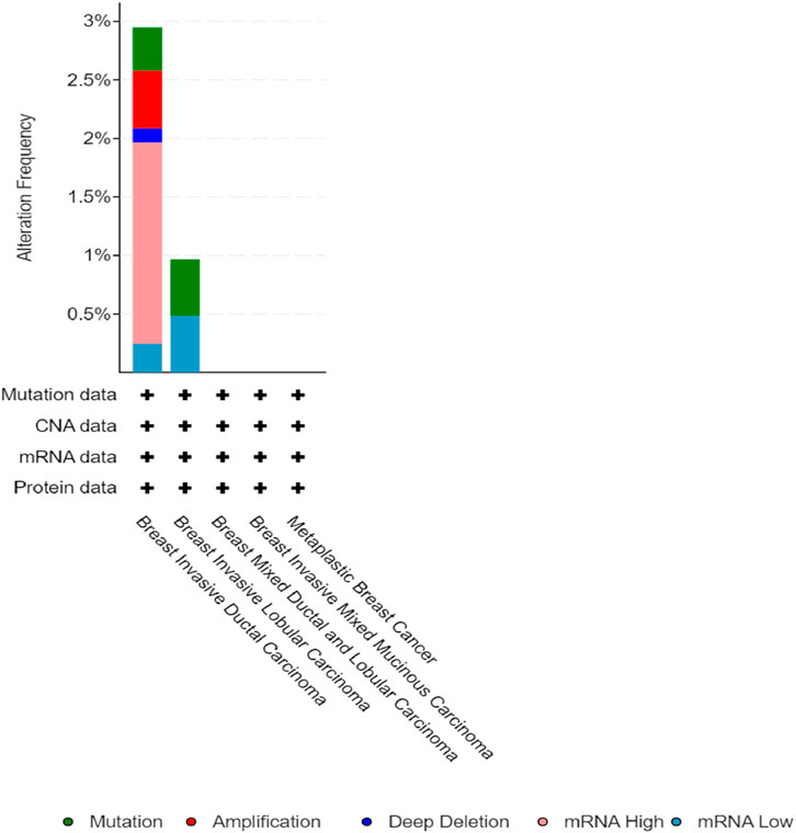 Bar graph illustrating alteration frequency in various breast cancer types, including Metaplastic Breast Cancer and Breast Invasive Ductal Carcinoma. The bars represent mutation, amplification, deep deletion, mRNA high, and low levels, with mutation and CNA data provided. Bars show cumulative frequency up to three percent.