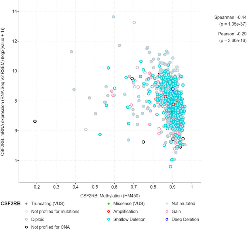 Scatter plot depicting the relationship between CSF2RB methylation (x-axis) and mRNA expression (y-axis). Data points are differentiated by mutation type and copy number alterations, with colors indicating truncating variants, missense mutations, amplifications, deletions, and more. Two correlation coefficients are shown: Spearman (-0.44) and Pearson (-0.29), with respective p-values.
