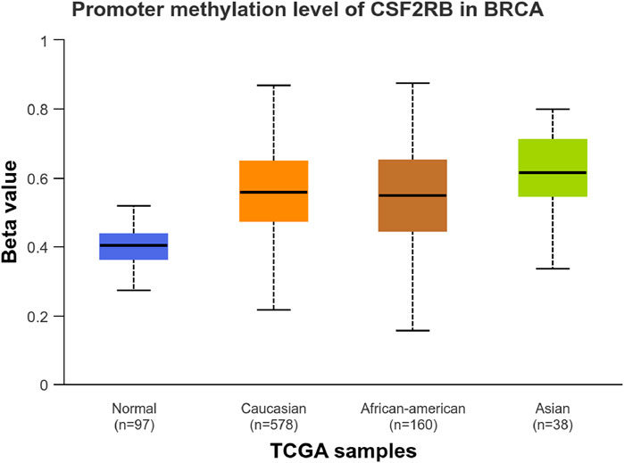 Box plot showing promoter methylation levels of CSF2RB in BRCA across four groups: Normal (beta value ∼0.4), Caucasian (∼0.6), African-American (∼0.6), and Asian (∼0.5). Each group has varying sample sizes.