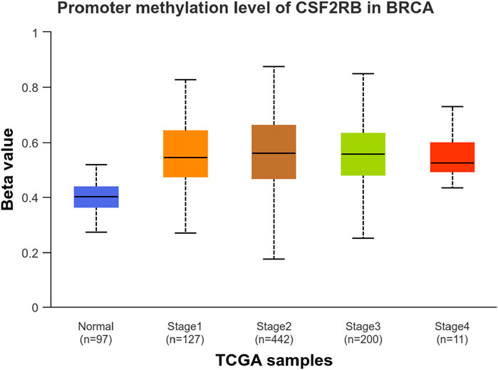 Box plot showing promoter methylation levels of CSF2RB in BRCA across different stages. Beta value on the vertical axis ranges from 0 to 1. TCGA samples are categorized as Normal, Stage 1, Stage 2, Stage 3, and Stage 4, with sample sizes of 97, 127, 442, 200, and 11 respectively. The plot shows increasing methylation from Normal to Stage 4.