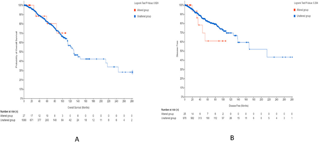 Two Kaplan-Meier survival curves compare altered and unaltered groups. Graph A shows overall survival over months, with a Logrank Test P-Value of 0.824, while Graph B shows disease-free survival with a P-Value of 0.294. Both graphs include the number at risk for each group and legend indicating altered in red and unaltered in blue.