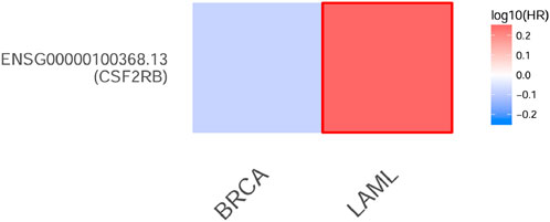 Heatmap showing gene ENSG00000100368.13 (CSF2RB) with color-coded log10(HR) values. The BRCA section is blue, indicating a log10(HR) of around -0.2, while the LAML section is red, indicating a log10(HR) of 0.2.