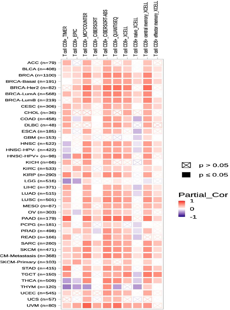 Heatmap showing the correlation of T cell CD8+ abundance across various cancer types using multiple deconvolution methods. Rows represent cancer types labeled with sample sizes. Columns represent different estimation methods. Colors range from red, indicating positive correlation, to blue, indicating negative correlation. Crosses mark non-significant correlations, while filled squares indicate significance.