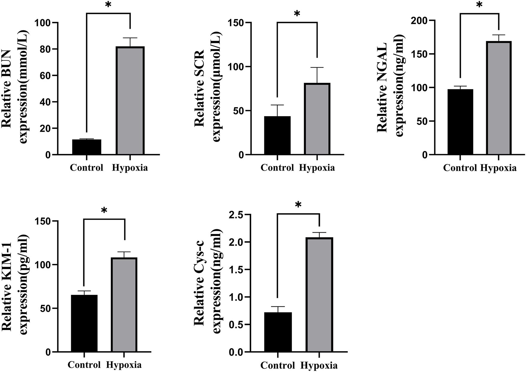 Bar graphs comparing the relative expression of biomarkers in control and hypoxia conditions. Each graph shows significantly higher values in hypoxia, indicated by asterisks. Biomarkers shown include BUN, SCR, NGAL, KIM-1, and Cys-c with respective units on the y-axis. Error bars represent variability.