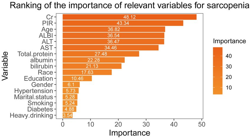 Bar chart ranking the importance of variables for sarcopenia. Variables include Cr, PIR, Age, ALBI, ALT, AST, and others. Cr has the highest importance at 48.12, while heavy drinking is the lowest at 3.54. Importance is shown on a gradient scale.