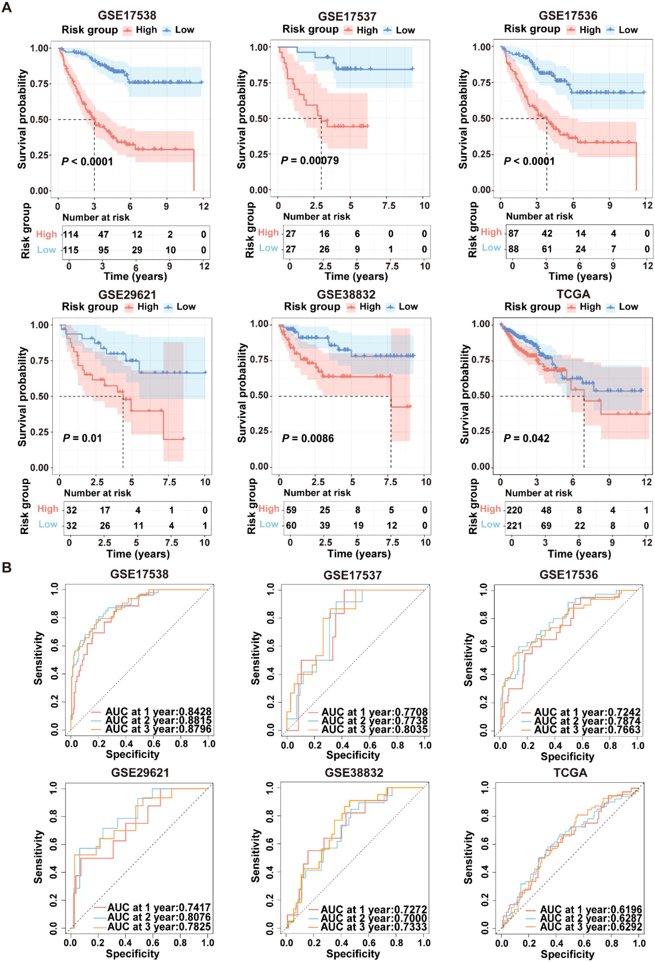 Several graphs analyzing risk groups and their impact on survival probability and diagnostic accuracy are depicted. Section A includes six Kaplan-Meier survival plots for datasets GSE17538, GSE17537, GSE17536, GSE29621, GSE38332, and TCGA. High and low-risk groups are compared, showing survival probabilities over time with significant p-values. Section B presents Receiver Operating Characteristic (ROC) curves for the same datasets, indicating model sensitivity and specificity with Area Under the Curve (AUC) values at one, two, and three-year intervals.