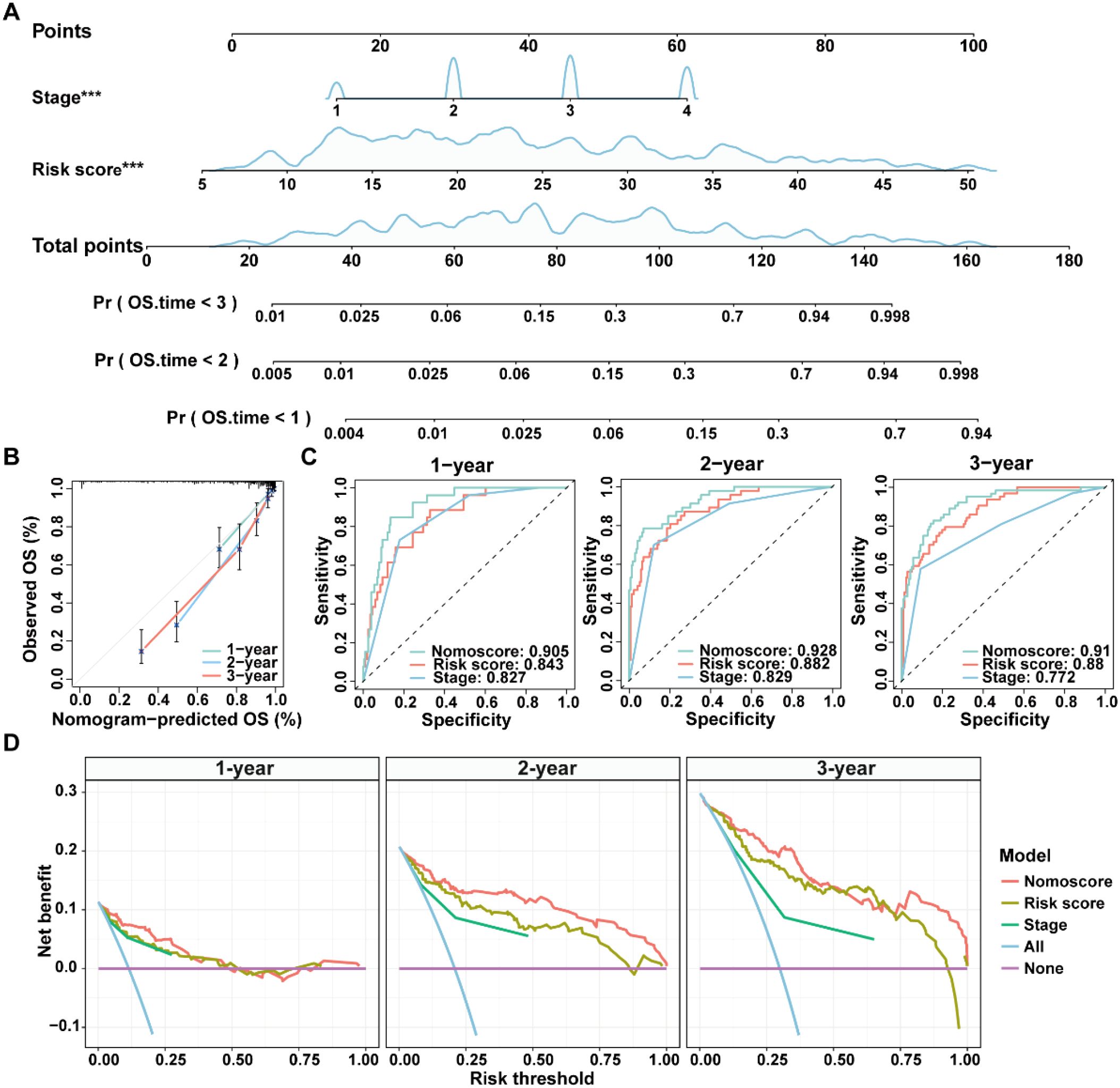 A set of medical graphics includes four panels: Panel A: A nomogram with points assigned to different cancer stages and risk scores, predicting the probability of overall survival at various times. Panel B: A calibration plot showing observed versus predicted overall survival percentages over one, two, and three years. Panel C: Three ROC curves for one, two, and three-year predictions, comparing nomogram, risk score, and stage models with corresponding AUC values. Panel D: Decision curve analysis for one, two, and three-year outcomes, illustrating the net benefit against the risk threshold for different models.