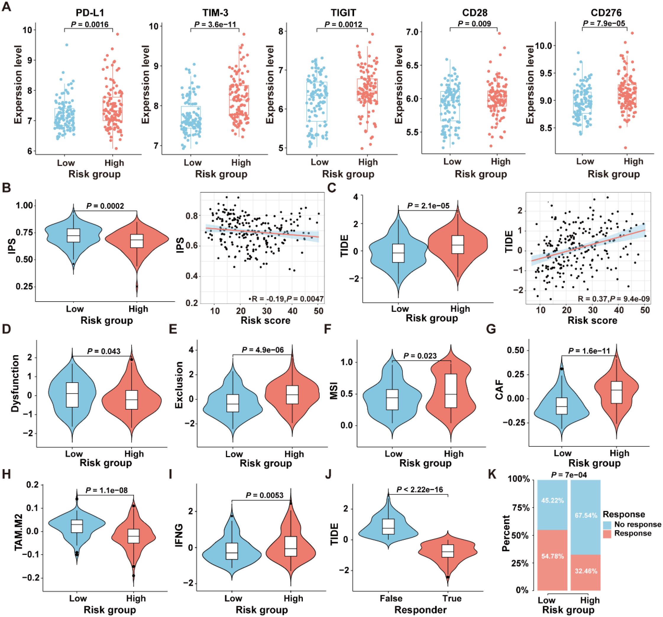 A series of graphs and plots comparing different expression levels and risk groups. Panels A to J display comparisons of expression levels and scores, such as PD-L1, TIM-3, and TIDE, between low and high-risk groups with statistical significance indicated. Panel K is a stacked bar chart showing response rates in different risk groups, highlighting percentages for responders and non-responders.