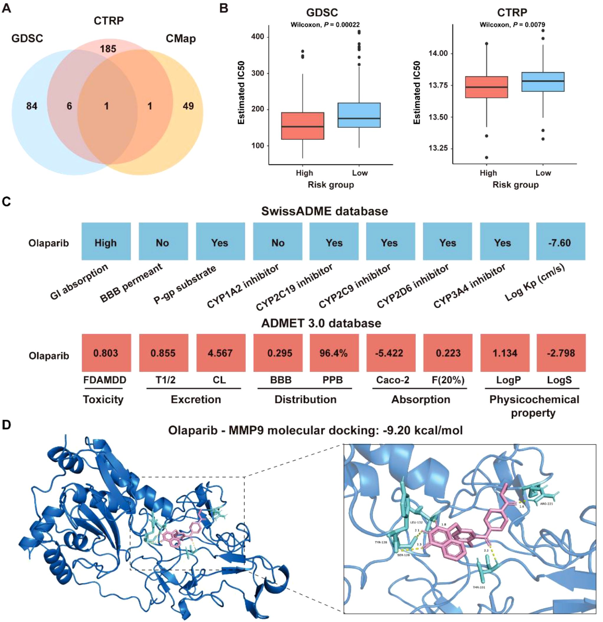 A Venn diagram, box plots, data tables, and a molecular docking image are displayed. Panel A shows a Venn diagram comparing data from GDSC, CTRP, and CMap. Panel B presents box plots of estimated IC50 values for high and low-risk groups in GDSC and CTRP, with p-values. Panel C includes tables from the SwissADME and ADMET 3.0 databases, showing properties of Olaparib like absorption, inhibition, and toxicity. Panel D illustrates molecular docking of Olaparib with MMP9, highlighting interactions and displaying a binding energy of -9.20 kcal/mol.