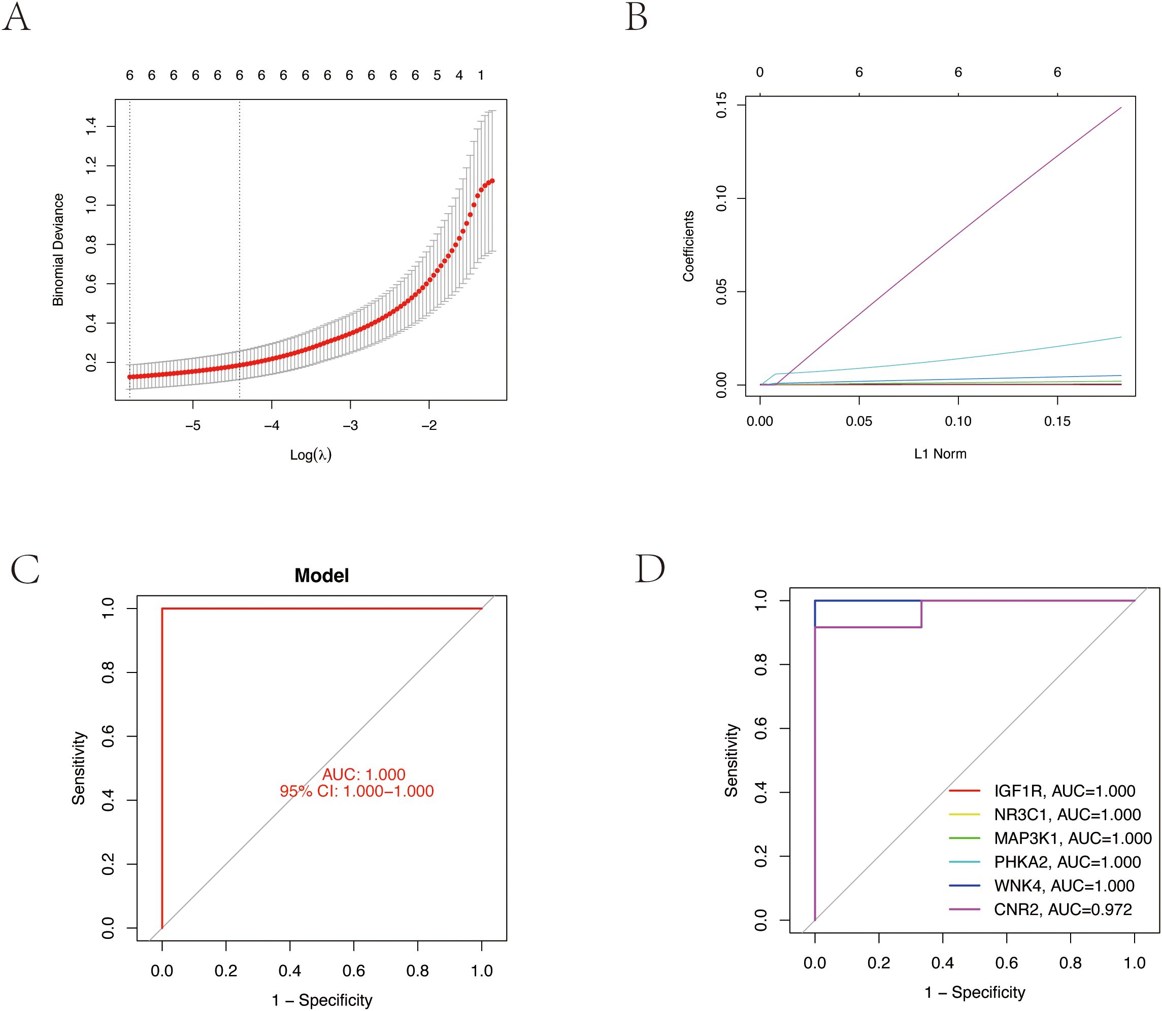 A: Line graph showing binomial deviance versus Log(λ). Red points indicate data with error bars. B: Line graph of coefficients against L1 norm with multiple colored lines. C: ROC curve titled “Model” with AUC of 1.000 and 95% CI of 1.000–1.000. D: ROC curves for different models with legend showing AUC values; IGF1R, NR3C1, MAP3K1, PHKA2, WNK4 have AUC of 1.000, CNR2 has 0.972.