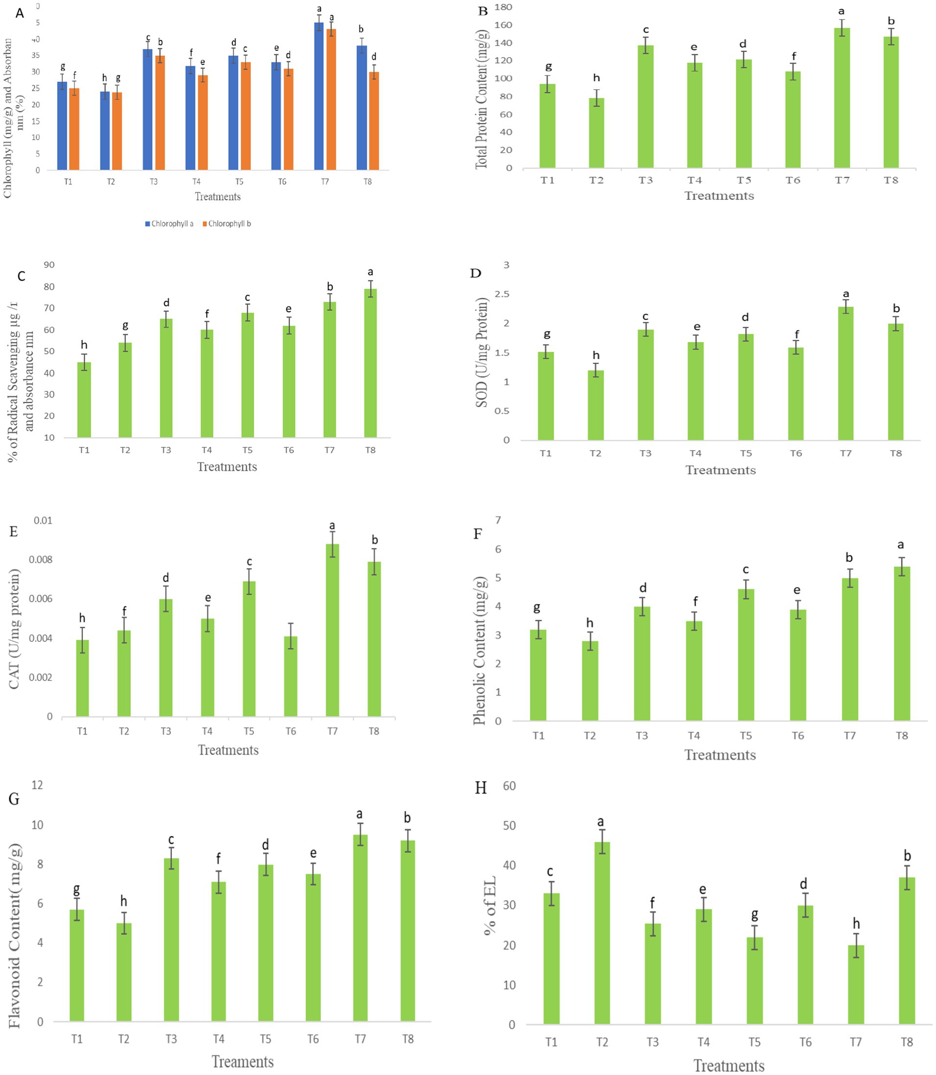 Grouped bar charts display various biological metrics across different treatments (T1 to T8). Panel A shows chlorophyll a and b levels, panel B shows total protein content, panel C shows radical scavenging percentage, panel D shows SOD content, panel E shows CAT content, panel F shows phenolic content, panel G shows flavonoid content, and panel H shows percent of EL. Each panel uses letters a to h to denote statistical differences among treatments.