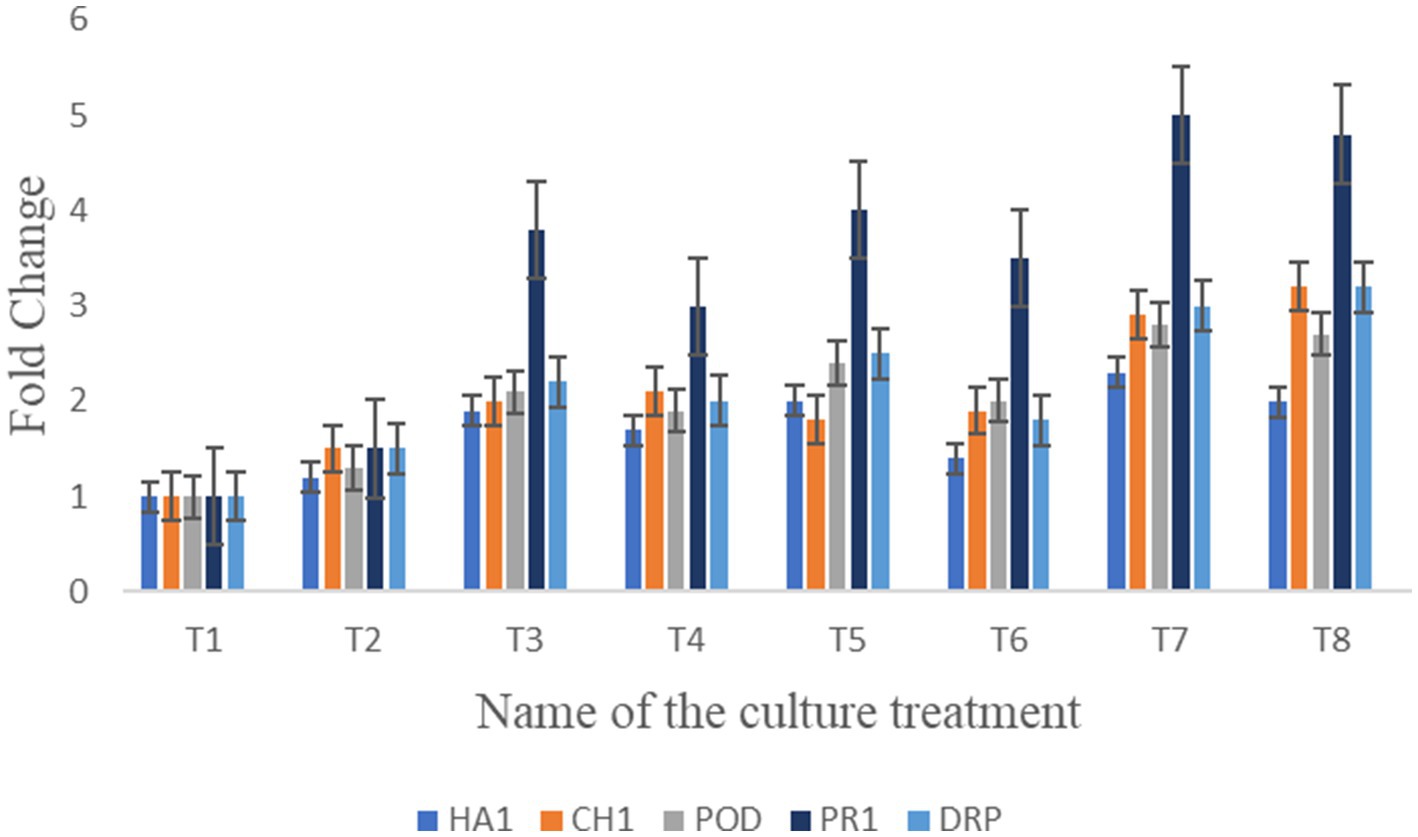 Bar chart showing fold change for eight culture treatments (T1 to T8) across five variables: HA1, CH1, POD, PR1, DRP. Each treatment has different bar heights and error bars, indicating variation in fold change values.