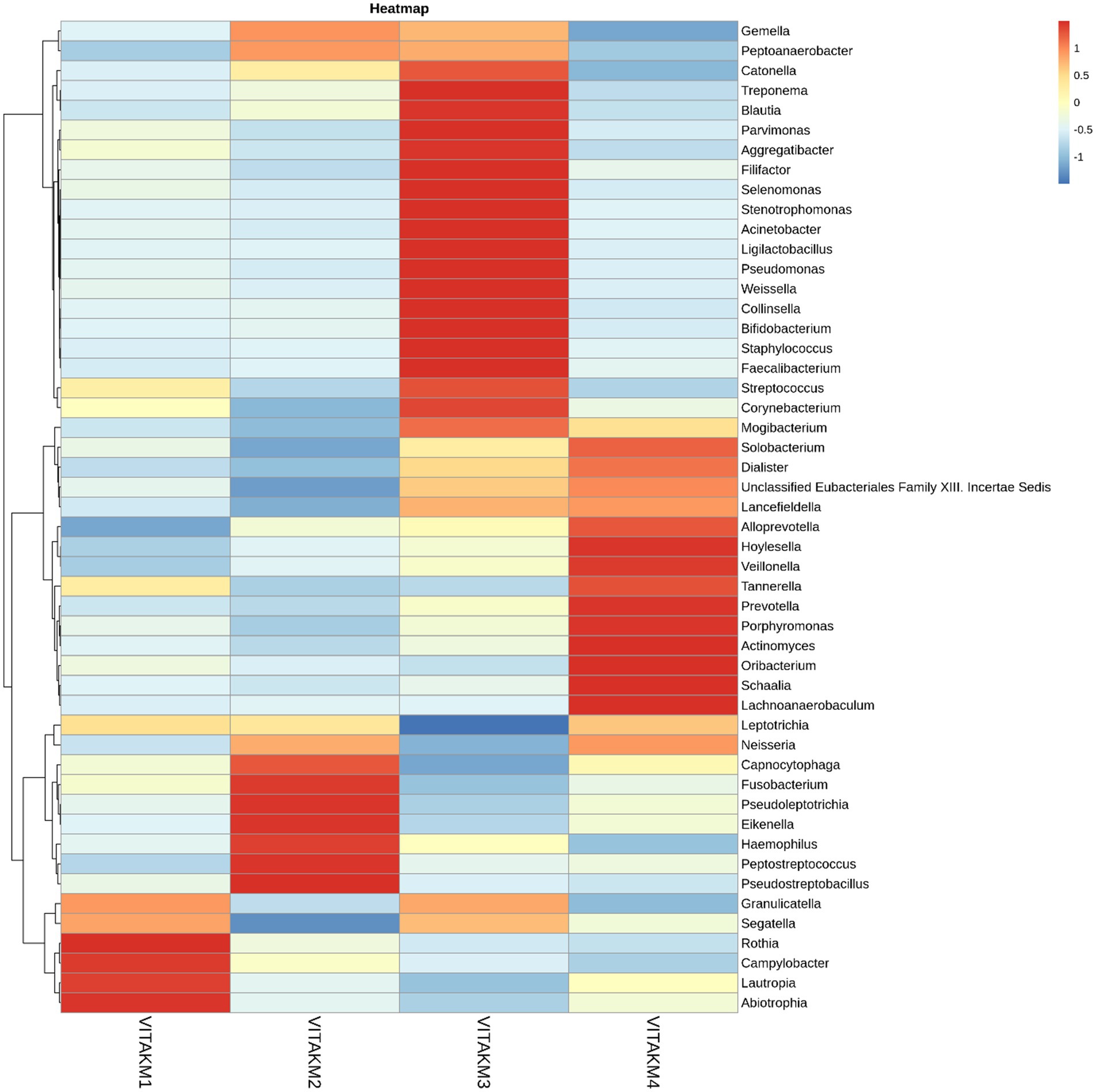 Heatmap displaying bacterial abundance across samples V1TAKM1 to V1TAKM4. Rows represent different bacterial taxa, with color shifts from blue to red indicating relative abundance levels from low to high. Dendrograms on the left cluster taxa based on similarity.