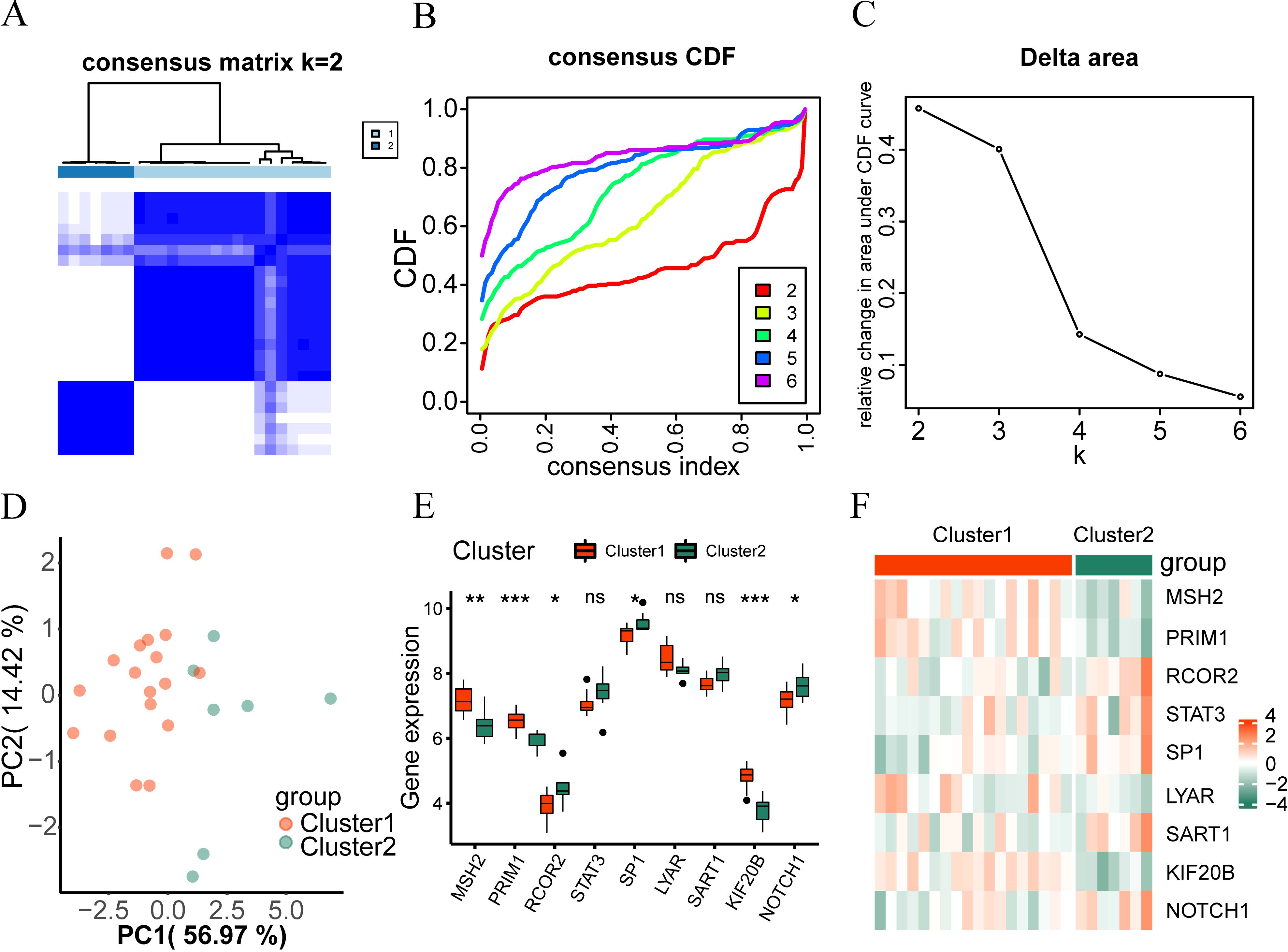 Panel A shows a consensus matrix heatmap for k=2 with two distinct clusters. Panel B presents a consensus CDF plot with lines for k values 2 to 6. Panel C displays a line graph of delta area for k values 2 to 6. Panel D features a PCA plot with data points for Cluster 1 and Cluster 2. Panel E illustrates box plots comparing gene expression levels between Cluster 1 and Cluster 2 for multiple genes, with significance indicated. Panel F contains a heatmap depicting gene expression levels across genes for Cluster 1 and Cluster 2.