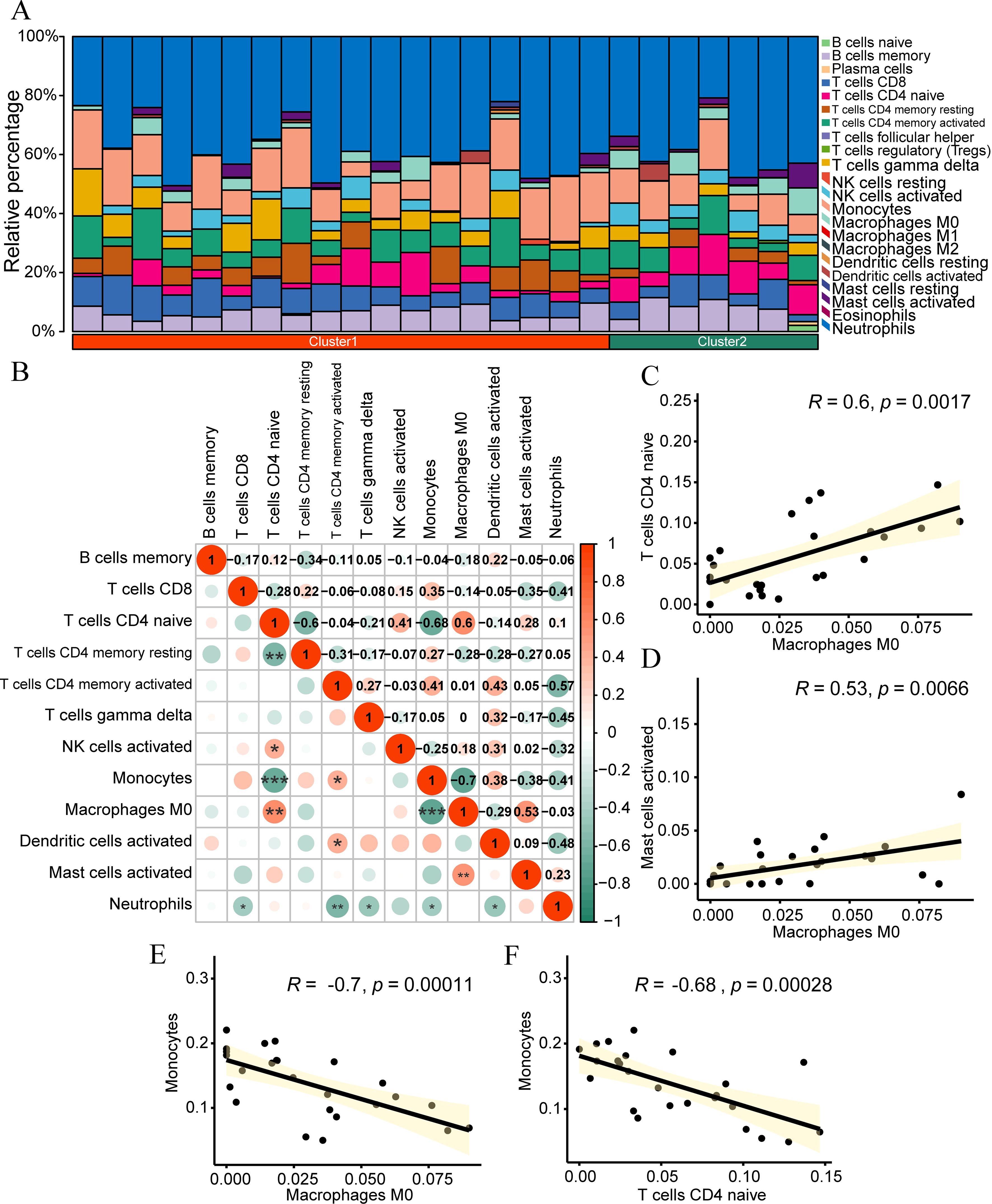 Panel A shows a stacked bar chart representing the relative percentage of different immune cell types across two clusters. Panel B displays a correlation matrix with varying levels of correlation between cell types, highlighted with colors and values. Panels C to F depict scatter plots with regression lines showing correlations between specific cell types: C shows a positive correlation between T cells CD4 naive and Macrophages M0, D shows a positive correlation between Mast cells activated and Macrophages M0, E shows a negative correlation between Monocytes and Macrophages M0, and F shows a negative correlation between Monocytes and T cells CD4 naive.