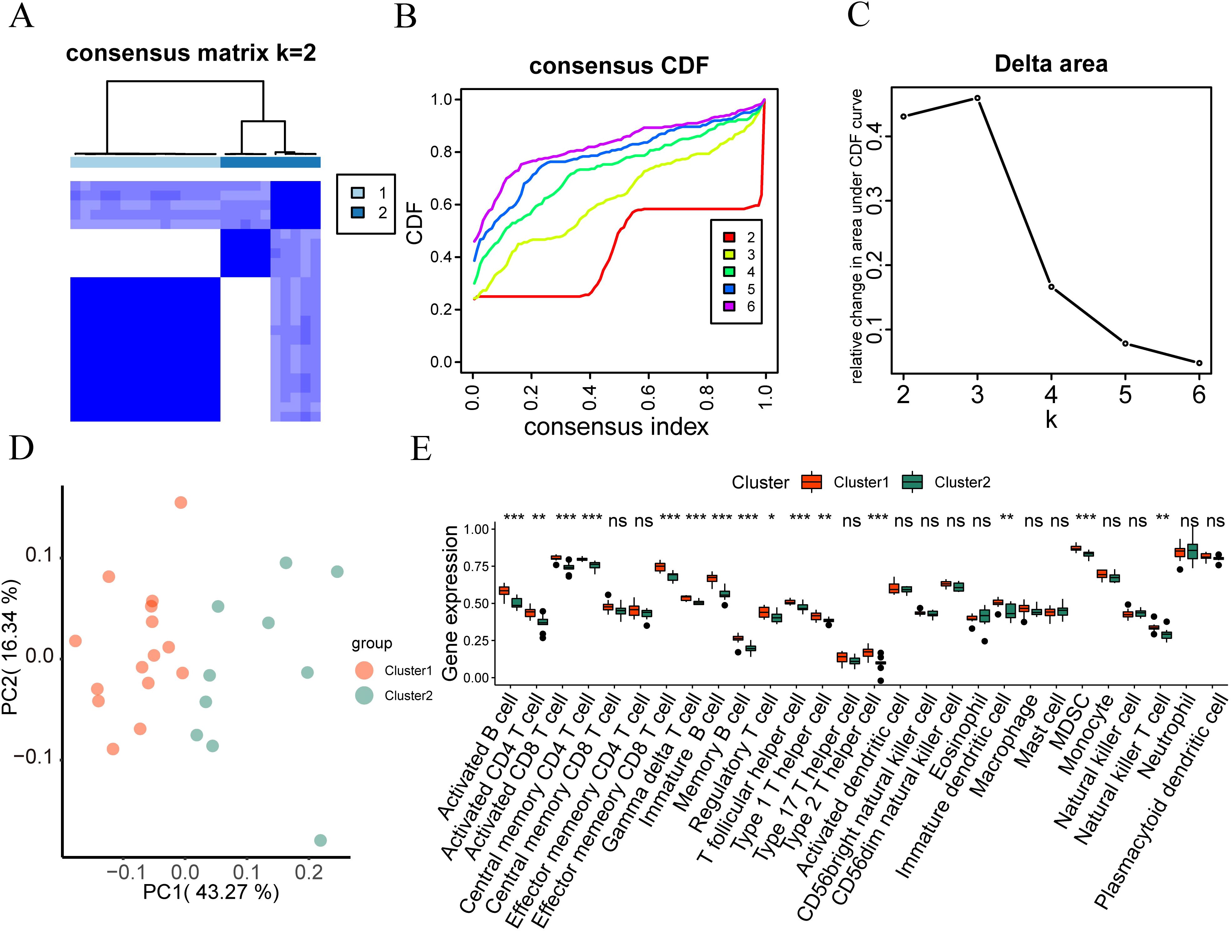 Panel A shows a consensus matrix heatmap for k equals two. Panel B displays the consensus cumulative distribution function curves for different k values. Panel C presents a line graph of delta area change for k equals two to six. Panel D includes a scatter plot of principal component analysis, distinguishing two clusters. Panel E illustrates a box plot of gene expression levels across various cell types for two clusters, with significance indicated.