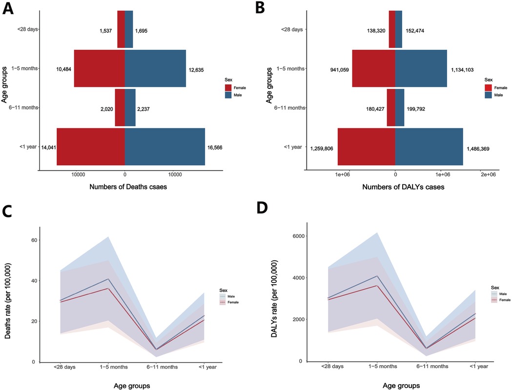 Four-panel image showing age group data divided by sex. Panel A: Bar chart of death cases in age groups under one year, with males having higher numbers, especially in the 1-5 months group. Panel B: Bar chart of DALYs cases showing more cases in males, notably in the 1-5 months group. Panel C: Line graph depicting death rates per 100,000 for different age groups, with males generally higher. Panel D: Line graph of DALYs rates per 100,000 across age groups, again with higher rates for males, peaking at 1-5 months.
