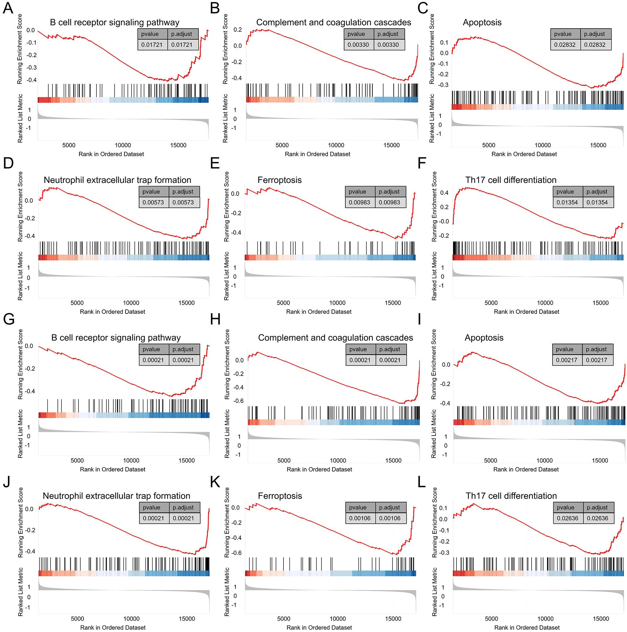 Twelve plots showing running enrichment scores for various biological pathways. Each plot illustrates a pathway with its associated p-value and adjusted p-value. Pathways include B cell receptor signaling, complement and coagulation cascades, apoptosis, neutrophil extracellular trap formation, ferroptosis, and Th17 cell differentiation. Each graph has a line plot of the enrichment score across ranks in the dataset, along with colored bars indicating the leading-edge subset.