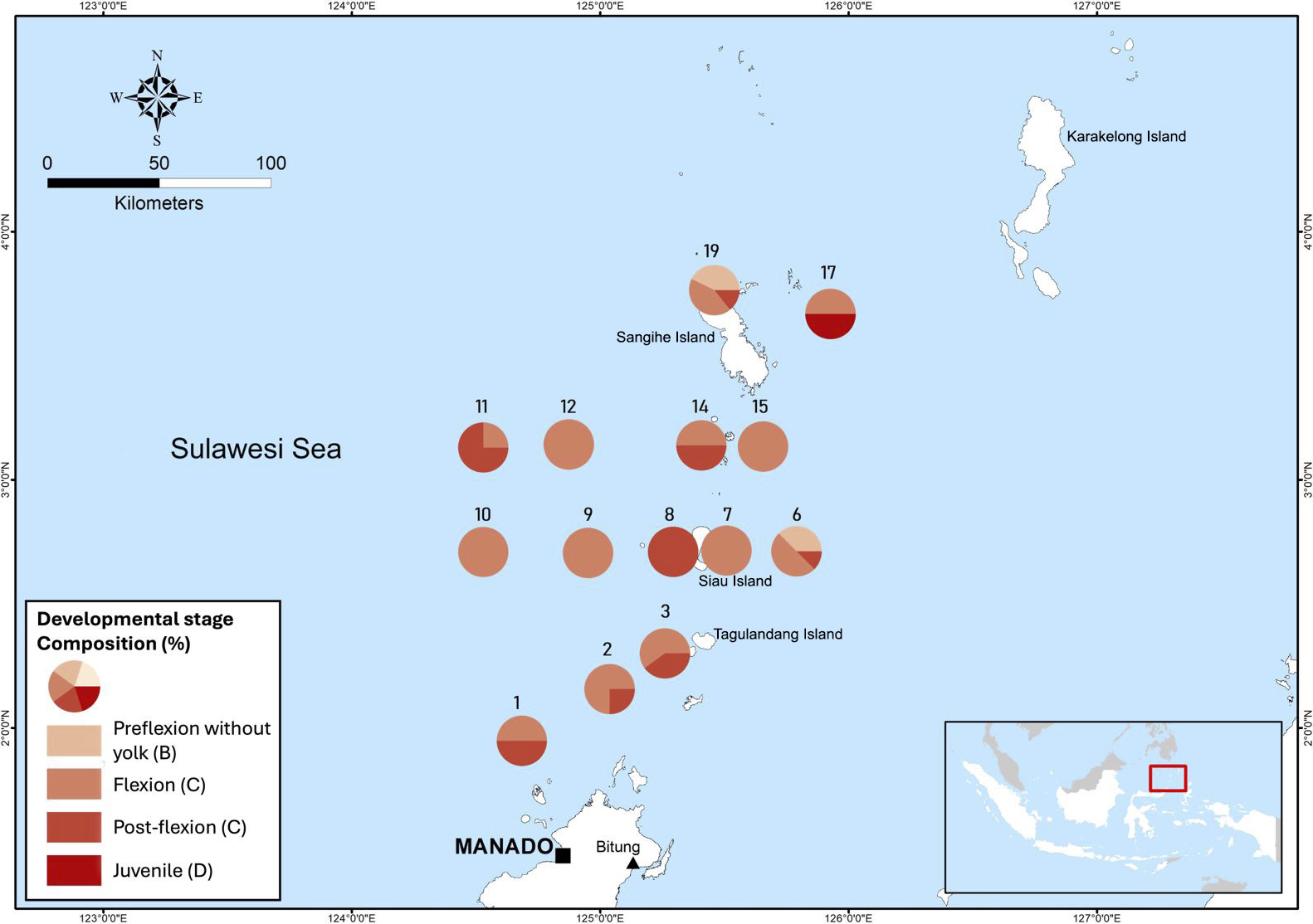 Map of the Sulawesi Sea showing pie charts representing developmental stage composition percentages at different locations. Stages include preflexion without yolk, flexion, post-flexion, and juvenile. Islands like Sangihe, Karakelong, Siau, and Tagulandang are marked, with a scale and compass for orientation. An inset map shows the broader geographical area.