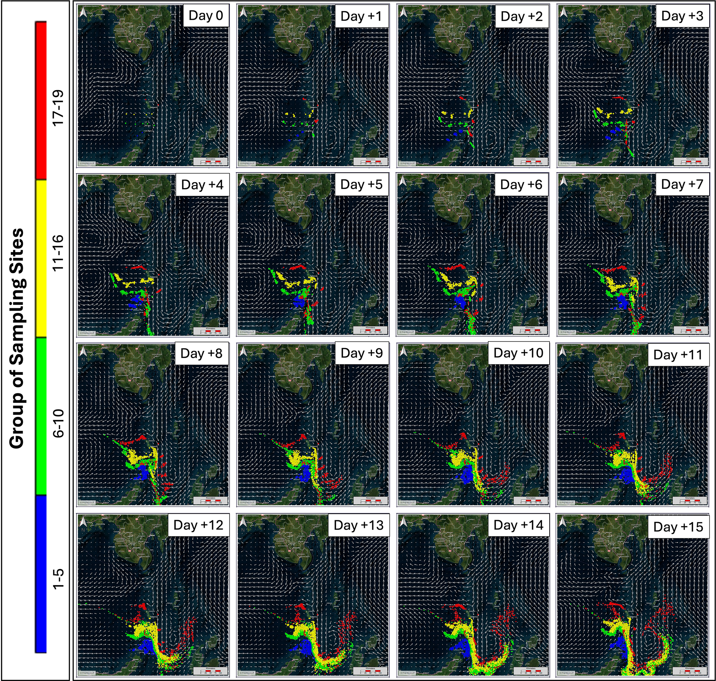 Sixteen-panel map showing the dispersion of sampling sites in the Atlantic Ocean over fifteen days, starting from Day 0 to Day 15. Each panel progressively reveals spreading colored patterns, ranging from blue for sites 1-5 to red for sites 17-19, according to a color scale on the left. Patterns expand from the western Atlantic eastward, influenced by ocean currents depicted as swirling lines.