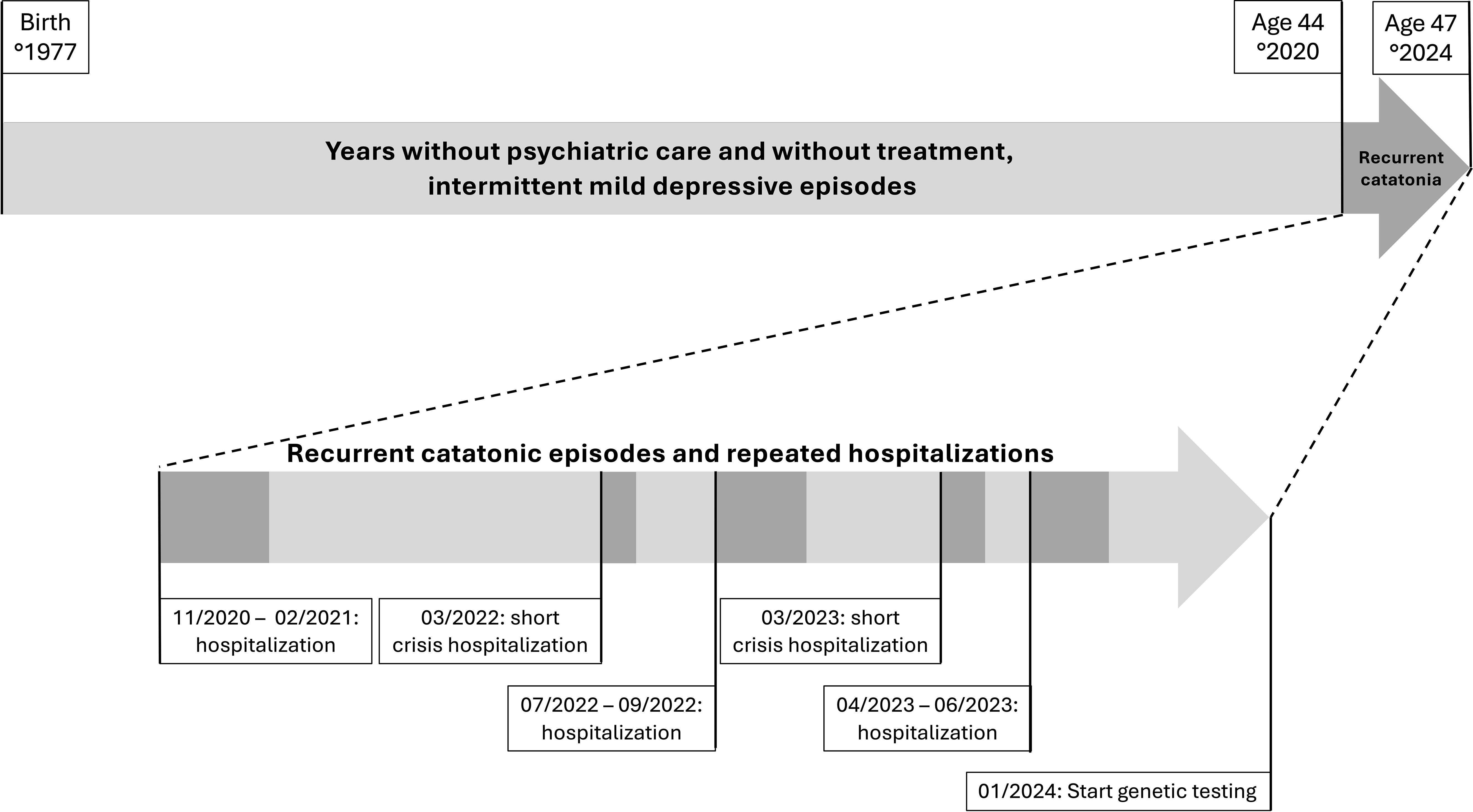 Timeline illustrating a person's psychiatric history from birth in 1977 to age 47 in 2024. It shows years without care and mild depressive episodes until age 44 in 2020, followed by recurrent catatonic episodes and repeated hospitalizations from late 2020 to mid-2023. Hospitalizations occur at intervals, with genetic testing starting in January 2024. Recurrent catatonia is highlighted towards 2024.
