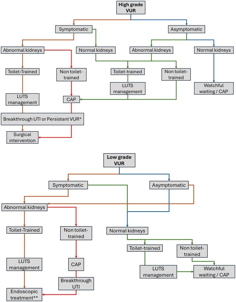 Flowchart detailing the management of high- and low-grade VUR (Vesicoureteral Reflux). It includes pathways for symptomatic and asymptomatic patients, considering kidney conditions and toilet-training status. Symptomatic pathways involve either LUTS management or surgical interventions depending on kidney abnormality. Asymptomatic paths might lead to watchful waiting or CAP. The flowchart emphasizes different treatment decisions based on the grade of VUR and associated conditions.