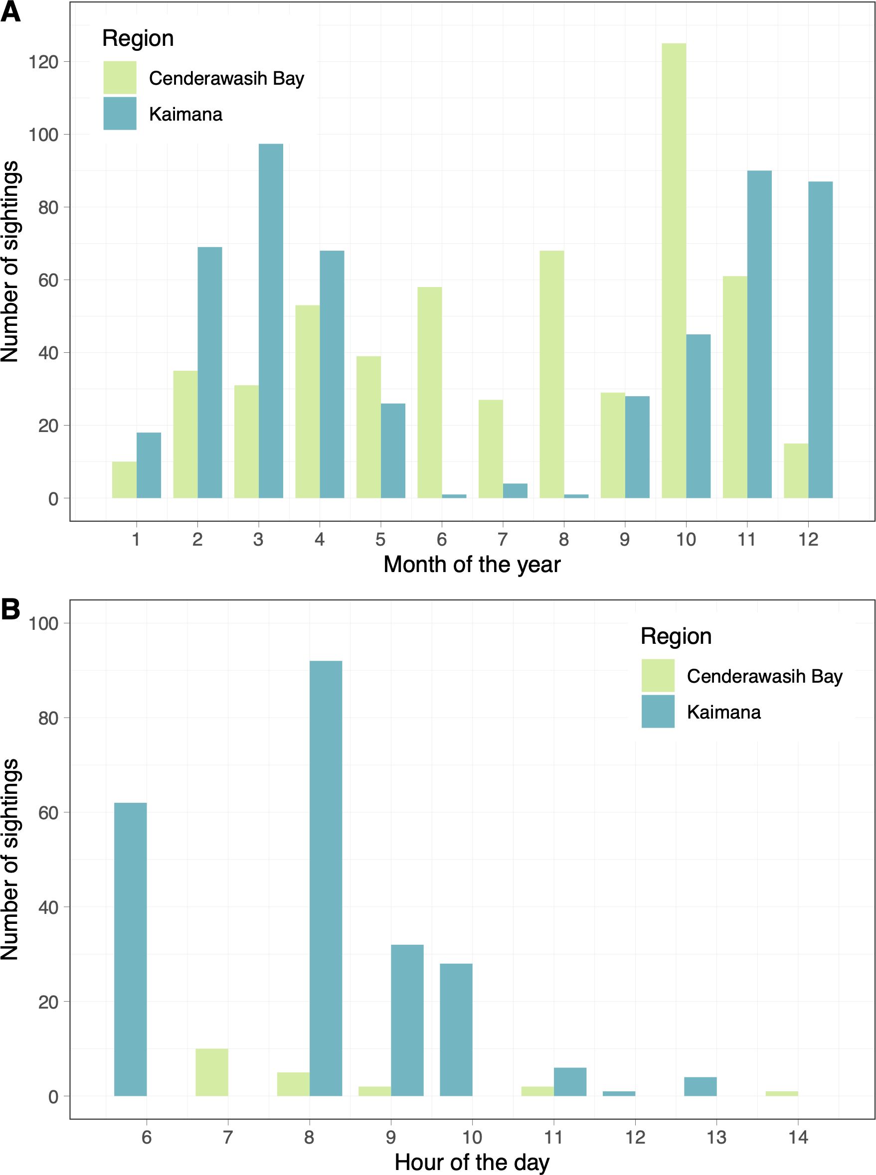 Bar charts comparing the number of whale shark sightings in Cenderawasih Bay and Kaimana. Chart A shows monthly sightings, with peaks in October for Cenderawasih Bay, and March and November-December for Kaimana. Chart B shows daily sightings, with peaks at 6 AM and 8 AM for Kaimana, and minimal sightings during other hours for both regions.