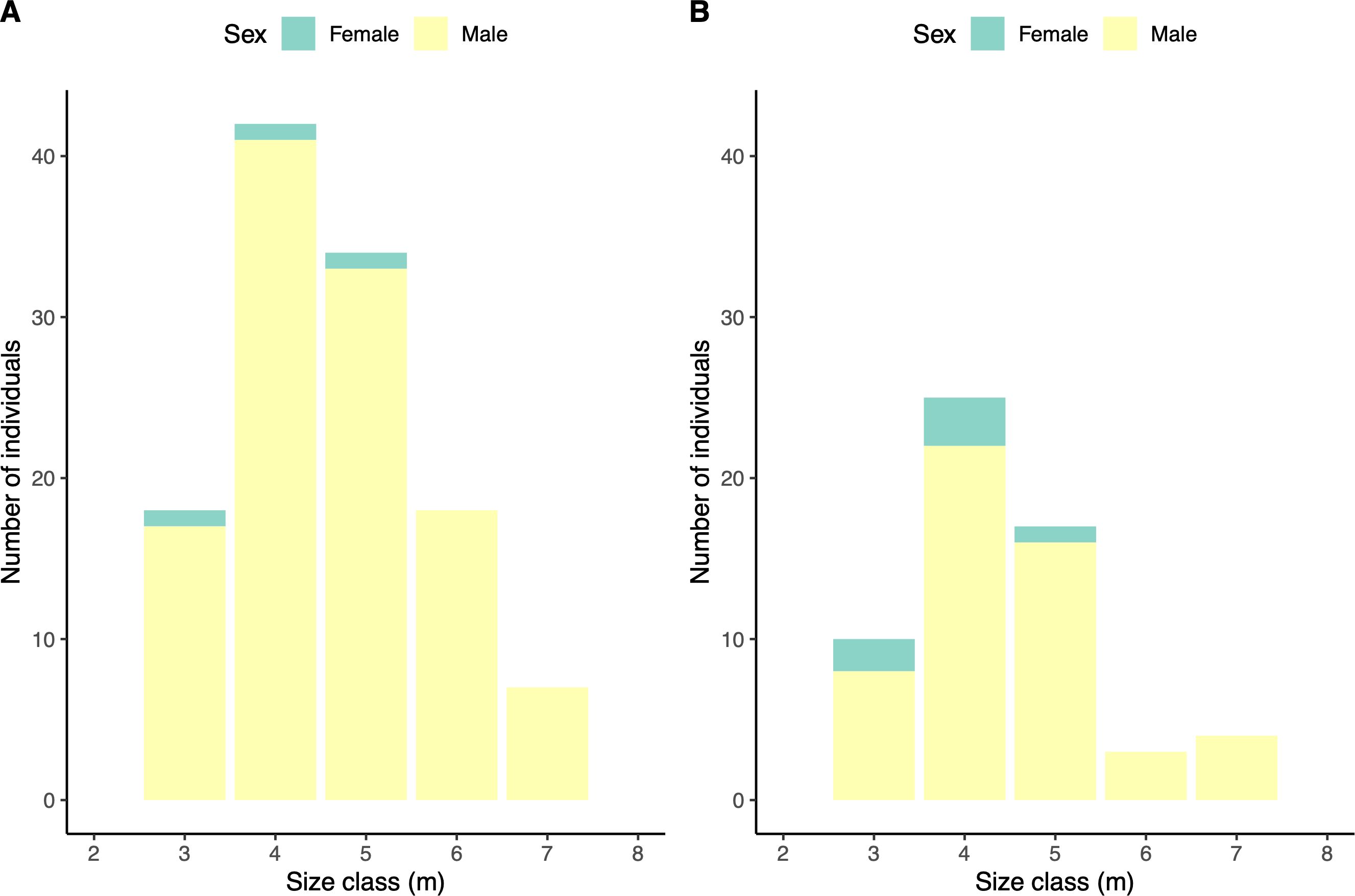 Two bar charts labeled A and B show the distribution of individuals by size class in meters. Charts display data for males in yellow and females in teal. Chart A shows a peak at size class 4, with more males than females. Chart B also shows a peak at size class 4, similarly with more males. Both charts indicate a larger proportion of males across most size classes.
