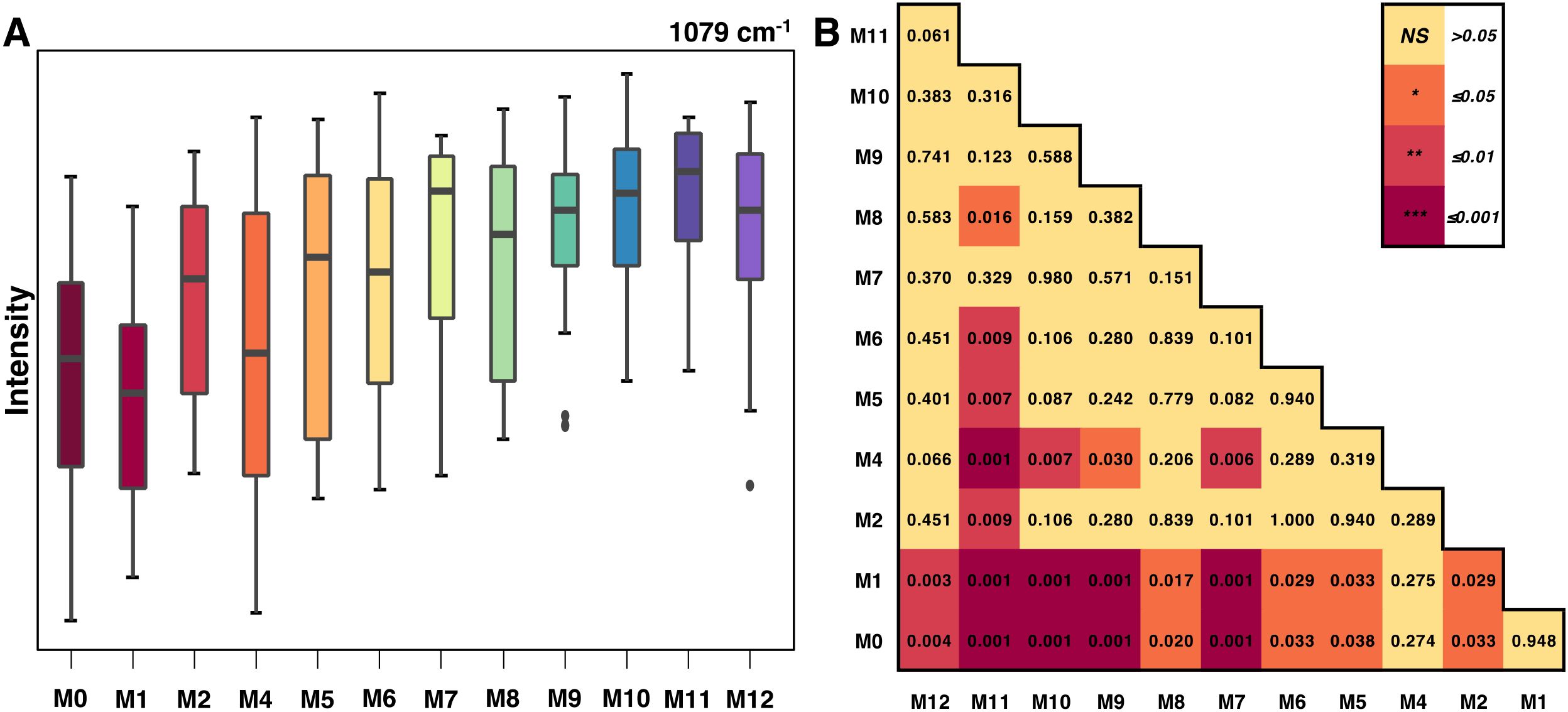 Box plot and heatmap visualization of data. Panel A shows a series of colored box plots depicting intensity levels labeled from M0 to M12 along the x-axis. Panel B presents a heatmap with color-coded significance levels, highlighting p-values for comparisons between the datasets from M0 to M12. The legend categorizes significance levels as NS (not significant), *, **, ***, with associated p-value ranges.