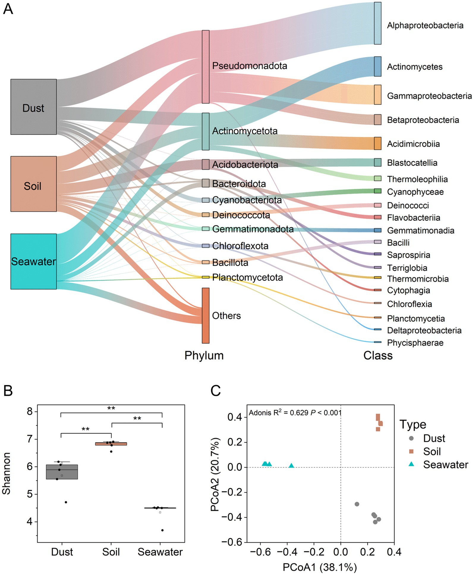 A: Sankey diagram showing the distribution of bacterial phyla and classes in dust, soil, and seawater. B: Box plot depicting Shannon diversity indices for dust, soil, and seawater, highlighting significant differences. C: Principal Coordinates Analysis (PCoA) plot displaying beta diversity of bacterial communities from dust, soil, and seawater.