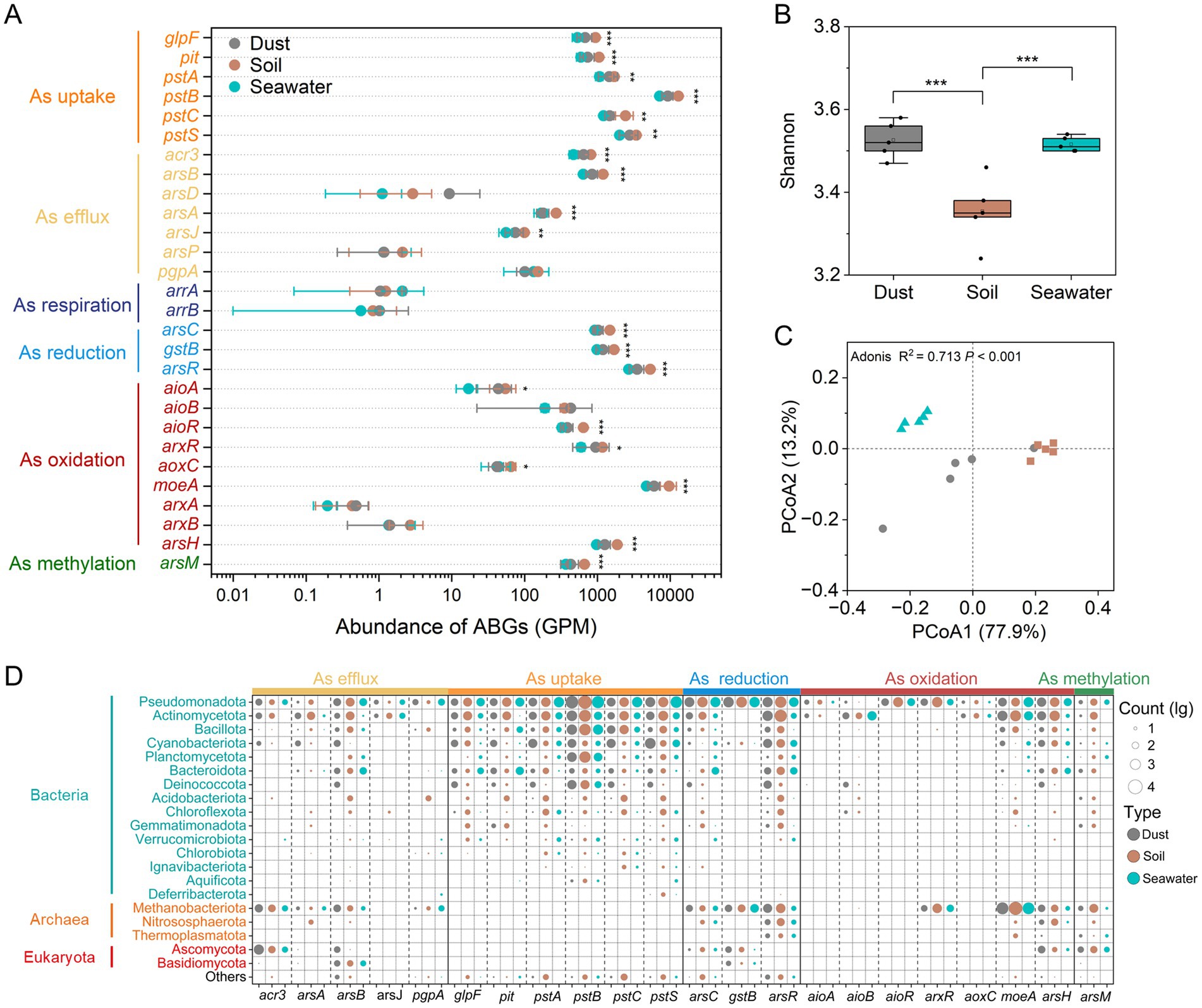 Chart consisting of four graphs analyzing arsenic biotransformation genes (ABGs) across different environments. Graph A displays the abundance of ABGs in dust, soil, and seawater. Graph B presents Shannon diversity indices of ABGs for these environments, with significant differences marked. Graph C shows a principal coordinates analysis (PCoA) plot displaying beta diversity of ABGs from dust, soil, and seawater. Graph D shows the count of ABGs across different taxonomic groups. Different colors represent different sample types: dust, soil, and seawater.