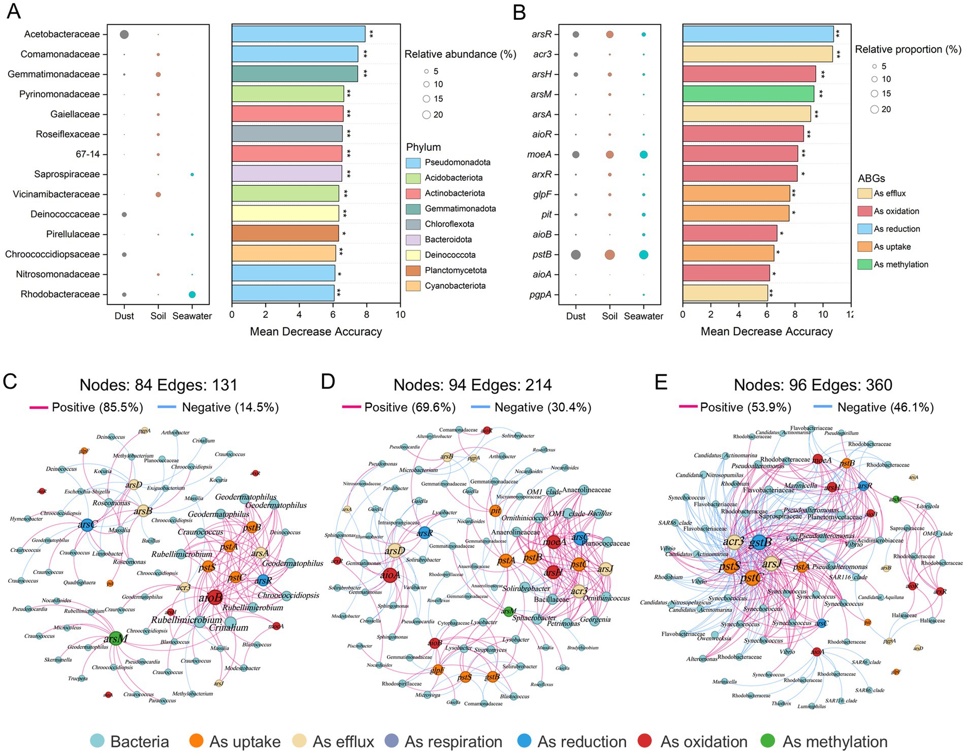 Panel A shows a dot and bar plot comparing relative abundance and mean decrease accuracy of bacterial families across dust, soil, and seawater, categorized by phylum. Panel B presents shows a dot and bar plot comparing relative proportion and mean decrease accuracy of arsenic biotransformation genes (ABGs) across these environments. Panels C, D, and E display network diagrams, each indicating nodes and edges with varying proportions of positive and negative associations, showing interactions among different bacteria and arsenic biotransformation genes (ABGs).