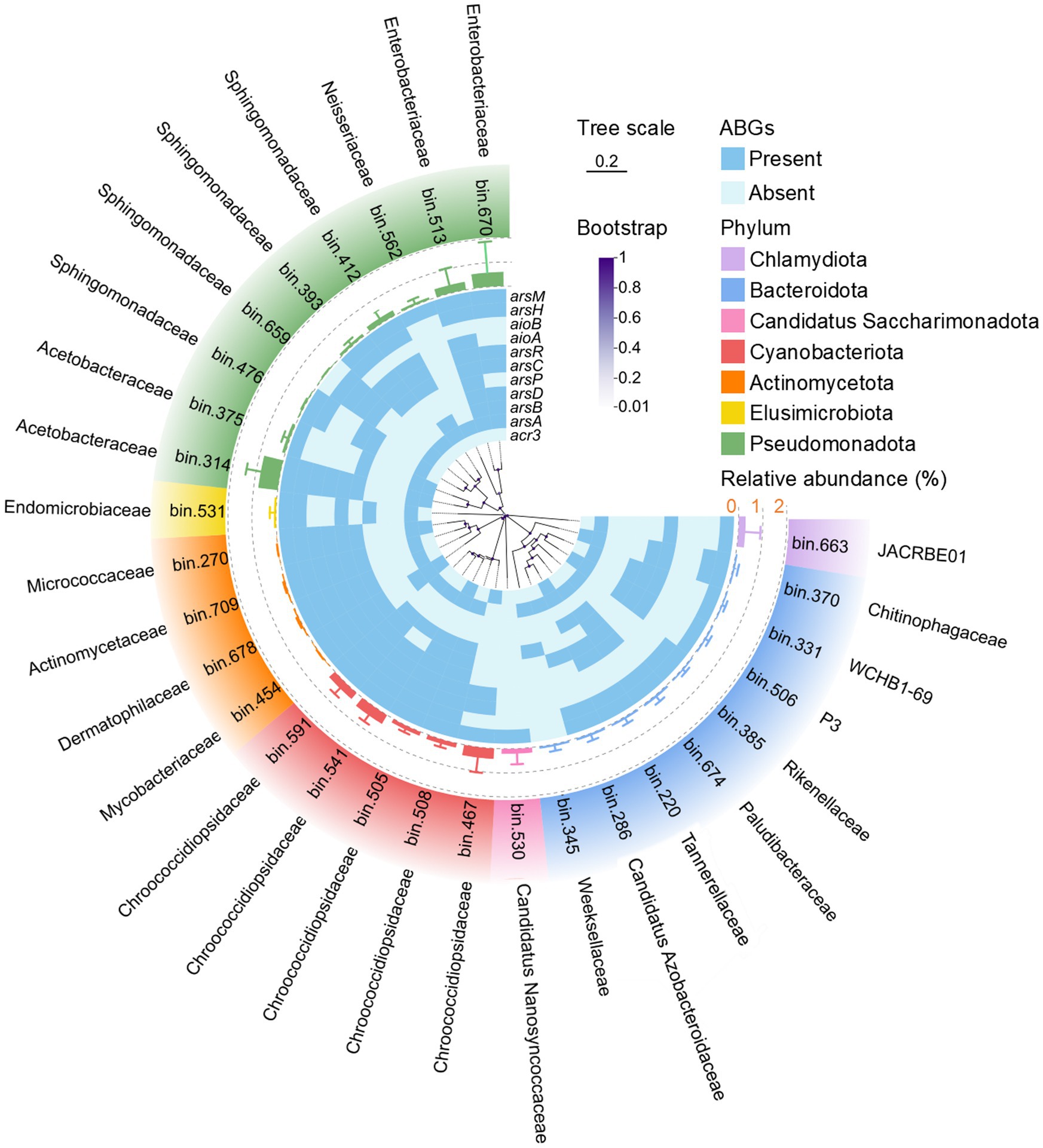 Phylogenetic tree diagram displaying the detected bacterial metagenome-assembled genomes (MAGs) in dust. Branches are color-coded by phylum. The heatmap illustrates the presence (blue) or absence (light blue) of arsenic biotransformation genes (ABGs) for each MAG. Relative abundance of each MAG is indicated with the bars.