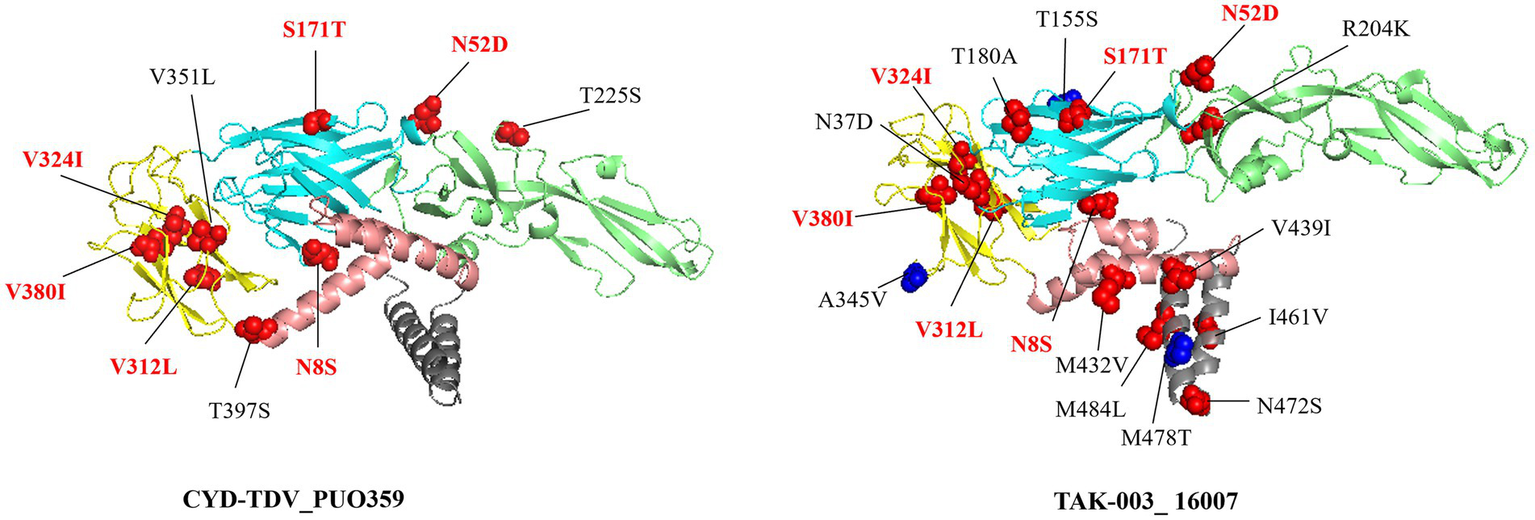Two protein structures are shown with labeled mutations. The first structure, labeled "CYD-TDV_PU0359", contains mutations such as V312L, V324I, and N52D. The second structure, labeled "TAK-003_16007", shows mutations like V312L, V324I, and M432V. Each structure is color-coded to highlight different regions and mutations, with red labels indicating specific changes.